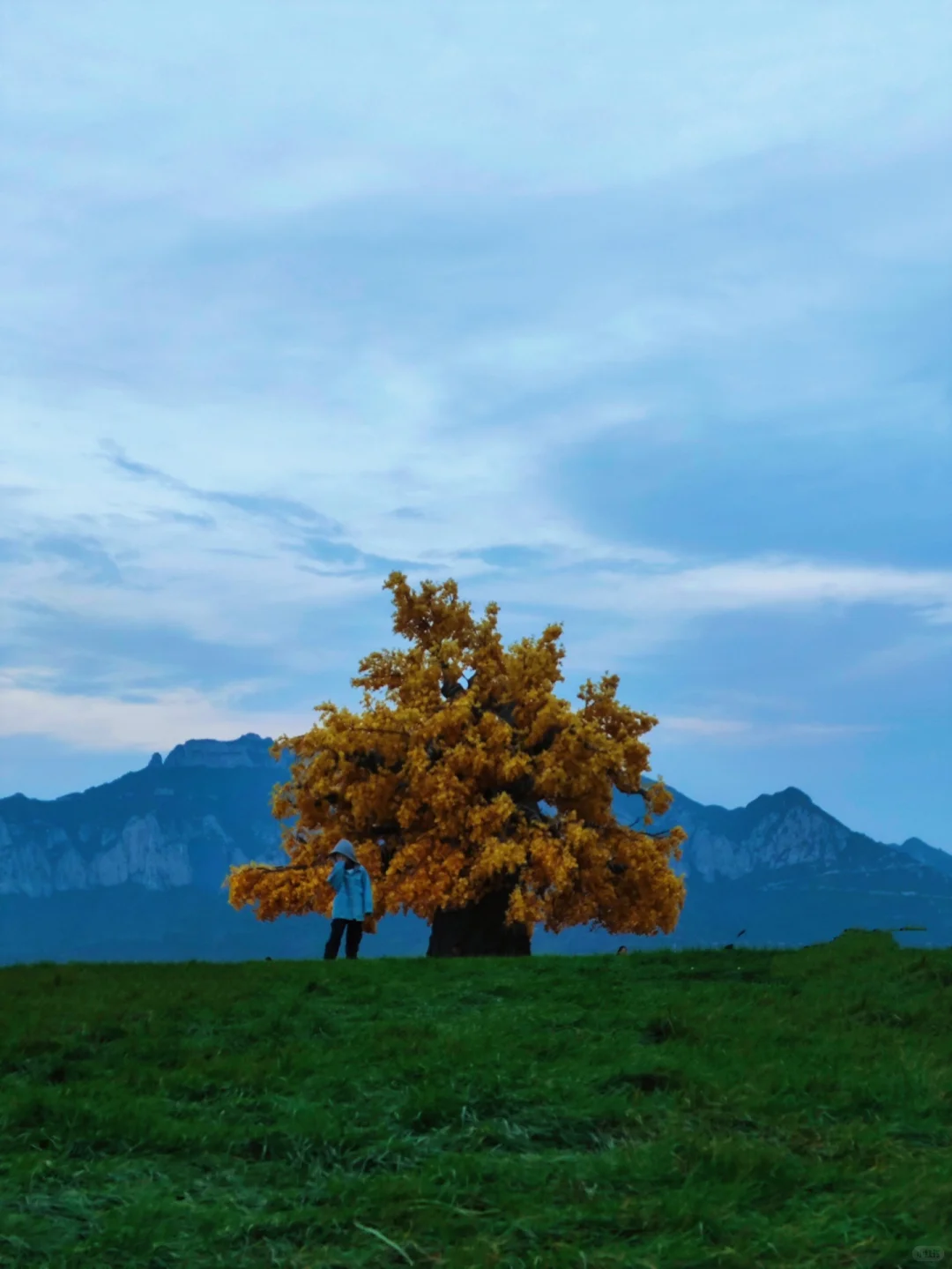 🗺️一千元邯郸3天2晚穷游攻略|建议收藏