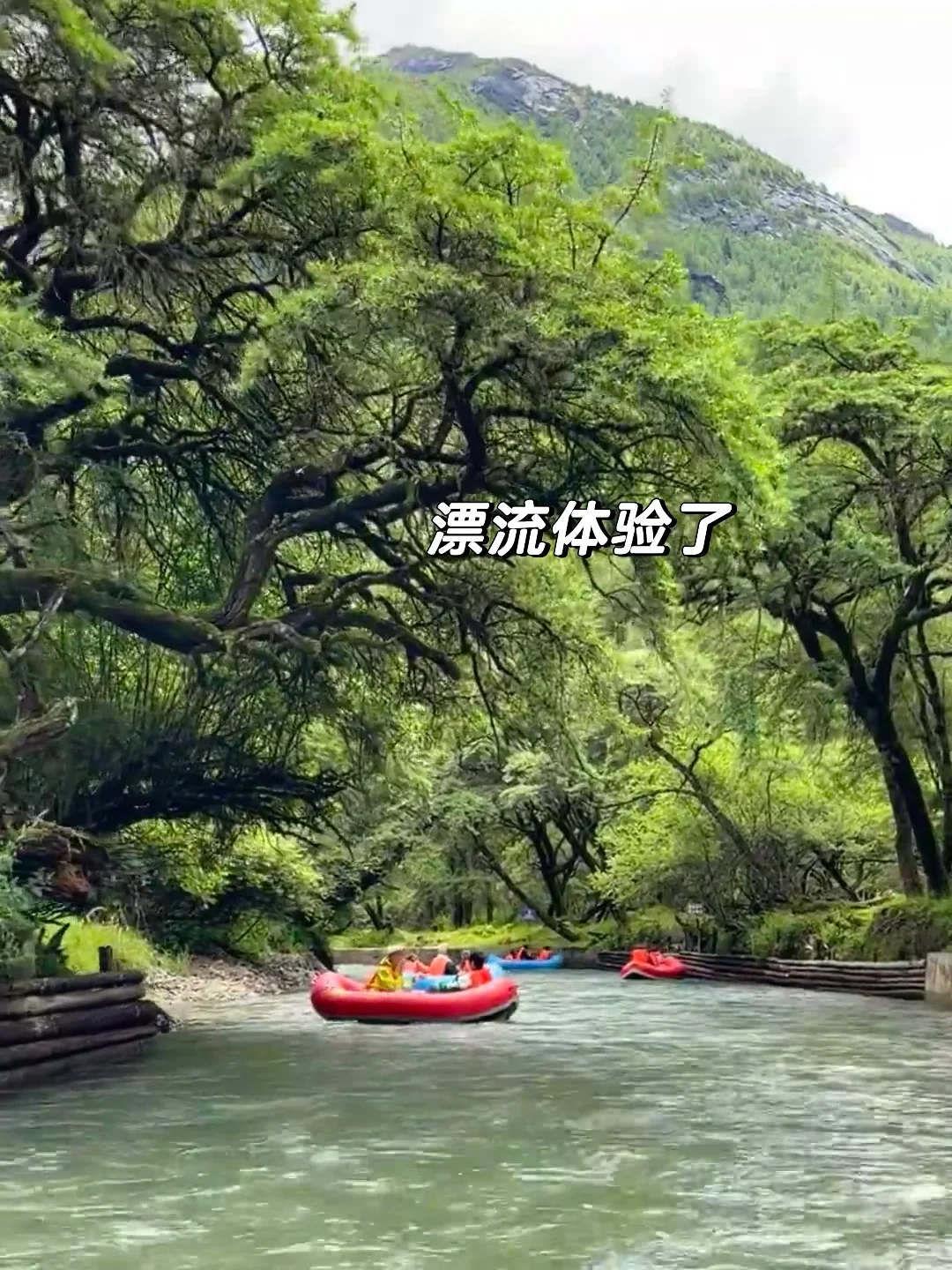 6~8月一定要带娃来这避暑💐比瑞士还震撼！！