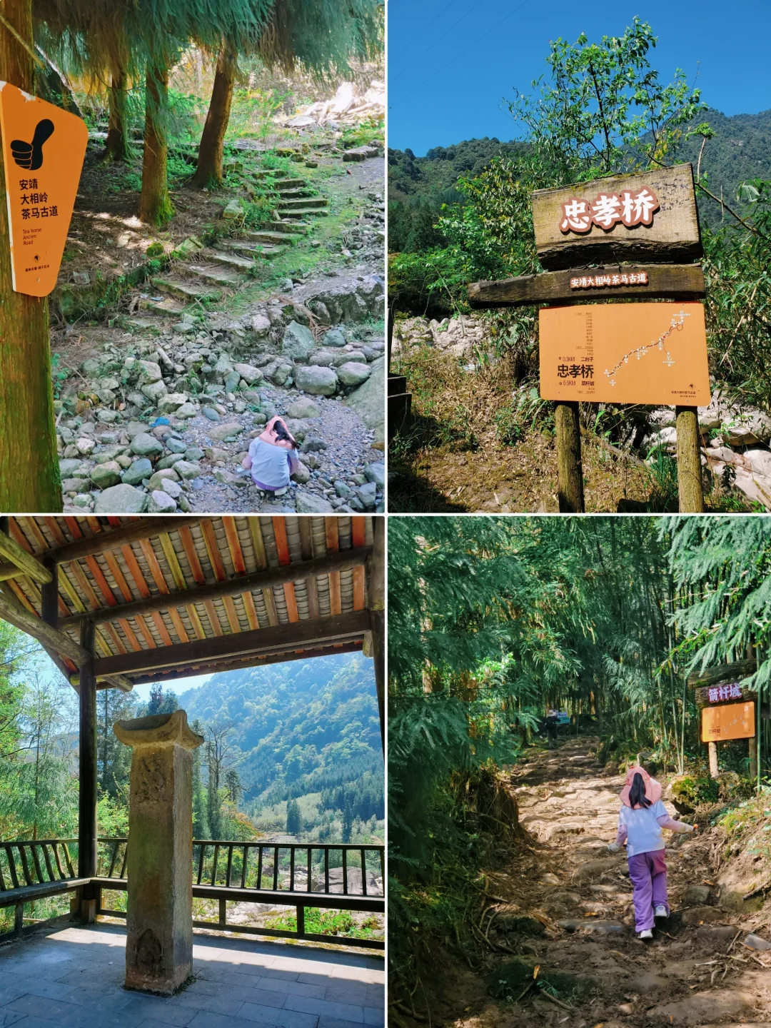 几乎没人的徒步秘境！景色绝美，亲子友好！