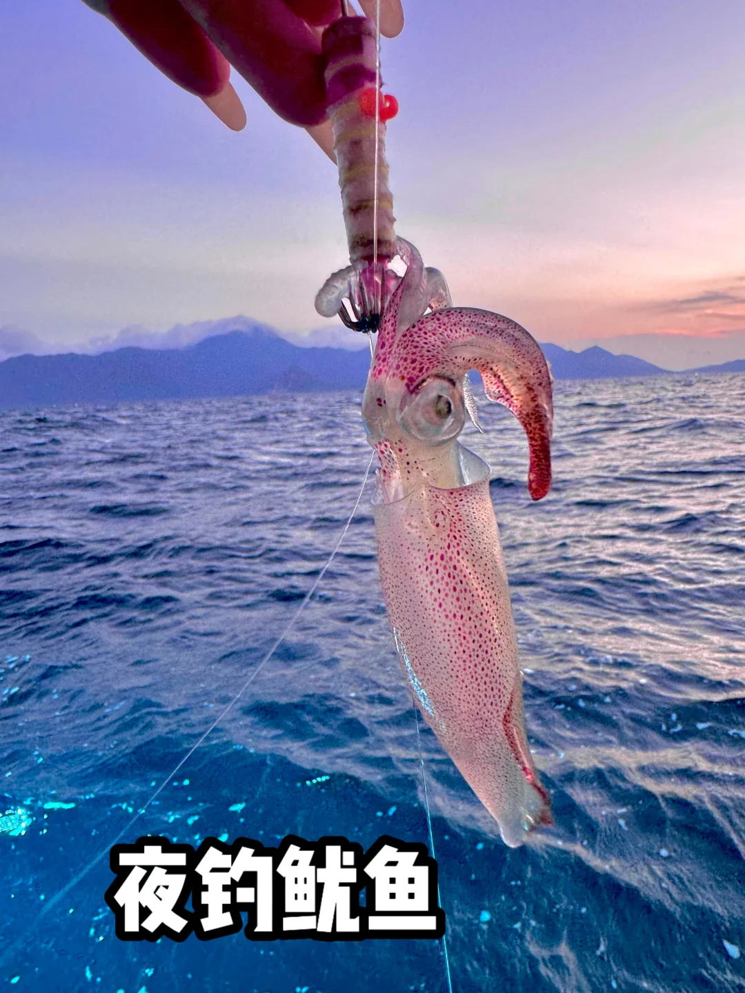 🌊毕业旅行冲双月湾！土著掏心窝25条建议