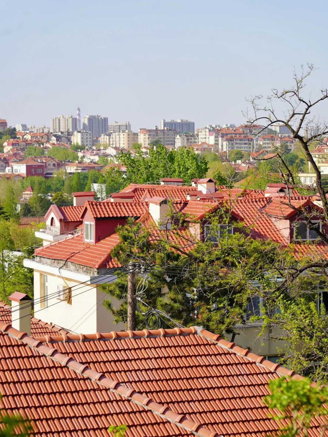 带父母青岛周末游｜海鲜美食+小众景点全攻略