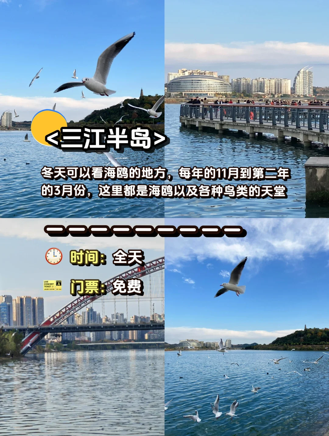 🌟绵阳旅游攻略|这 1️⃣0️⃣个景点一定要去‼️