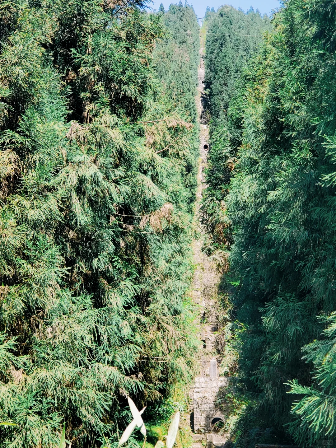 几乎没人的徒步秘境！景色绝美，亲子友好！