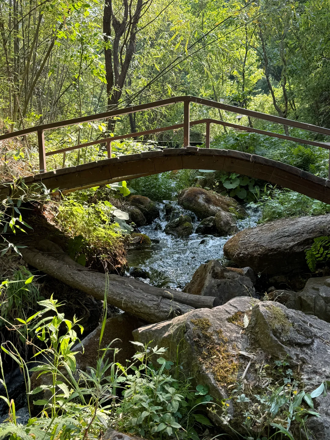 洛阳小众绝美玩水景点!不要再去人挤人啦!