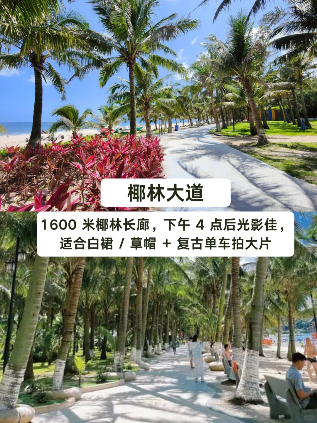 下川岛懒人攻略｜2 天 1 夜躺平指南