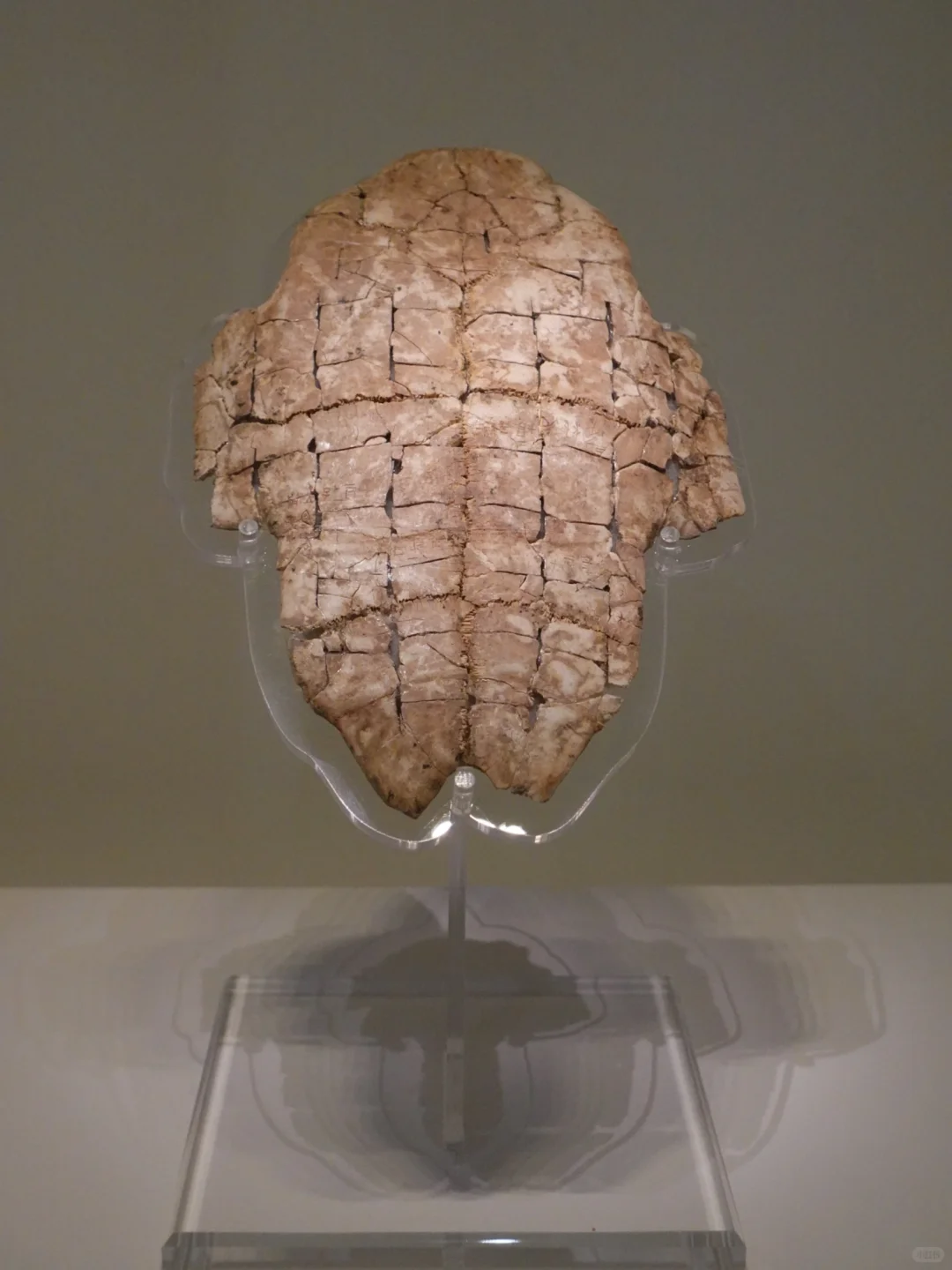 武汉/北京周末城市逃离计划/2天直达💚