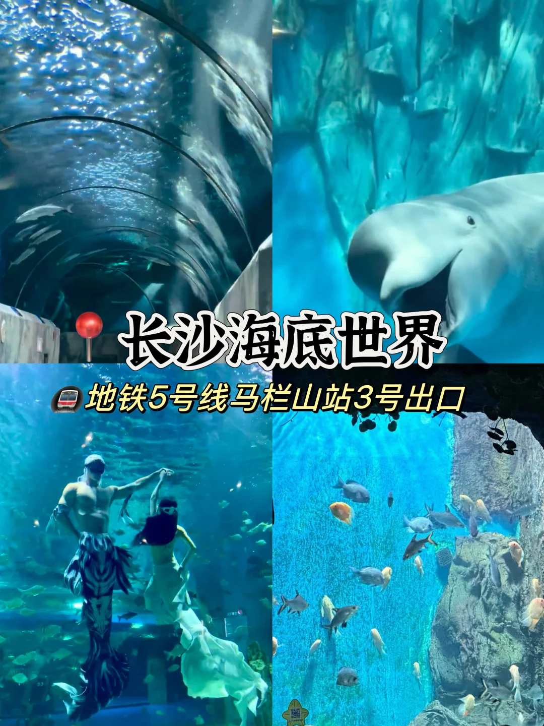 来长沙🔥必玩的十大景点打卡旅游攻略‼️