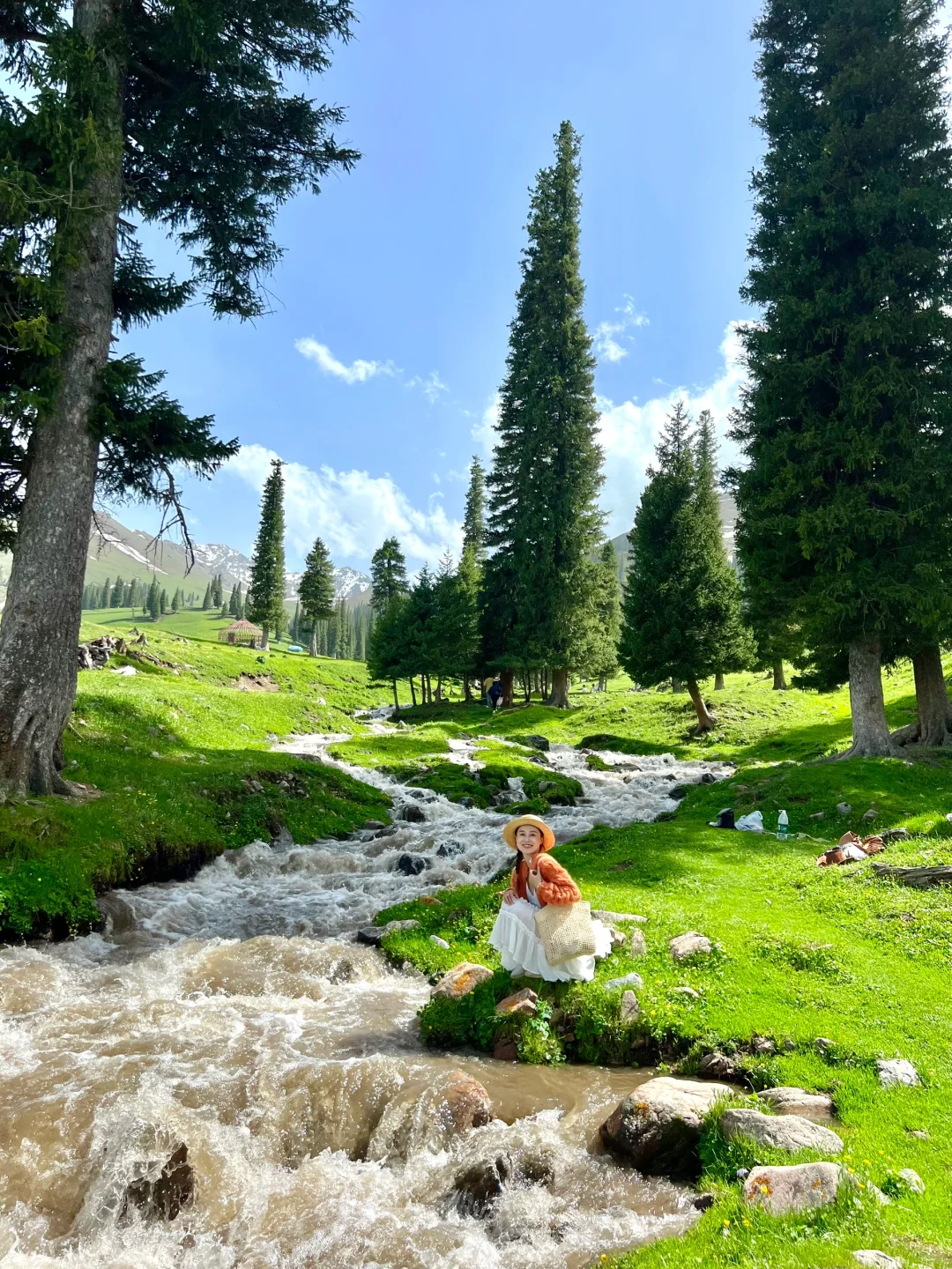 人生live🌲！这是我梦里的那片草原～