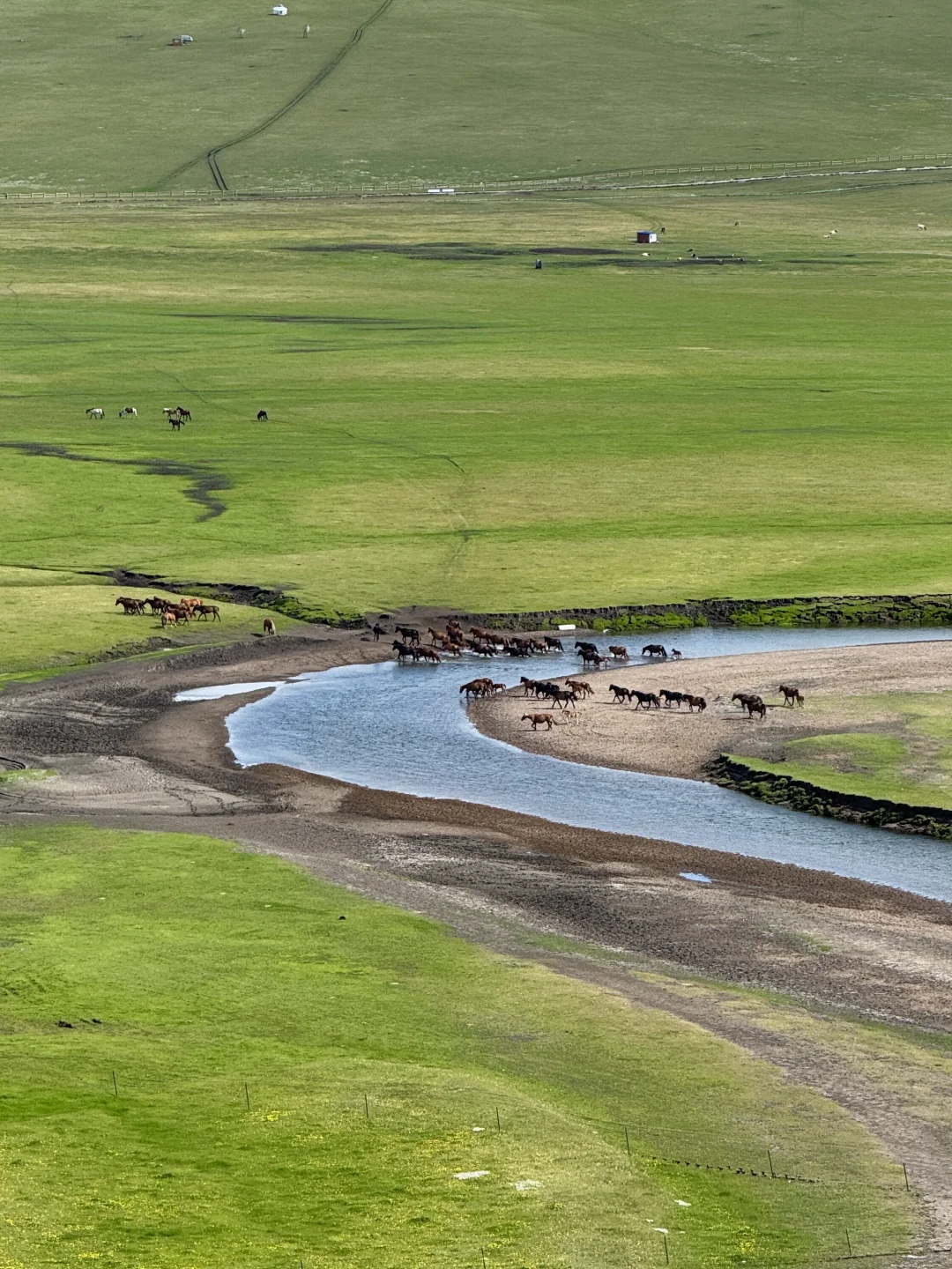 Live图的意义,呼伦贝尔第一天就美哭了😢