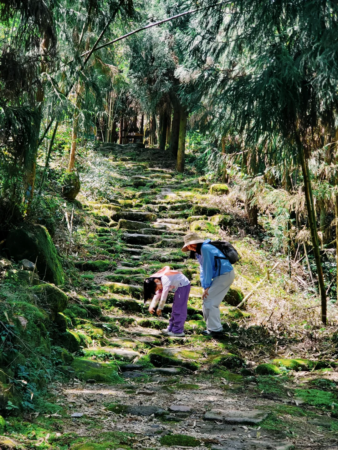 几乎没人的徒步秘境！景色绝美，亲子友好！