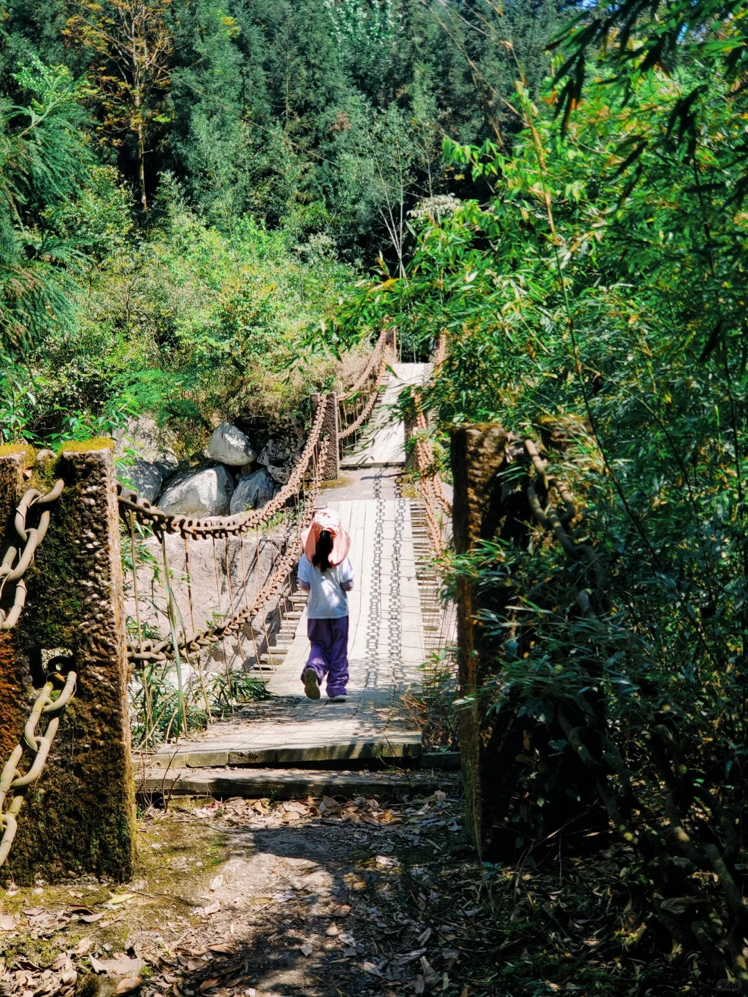 几乎没人的徒步秘境！景色绝美，亲子友好！