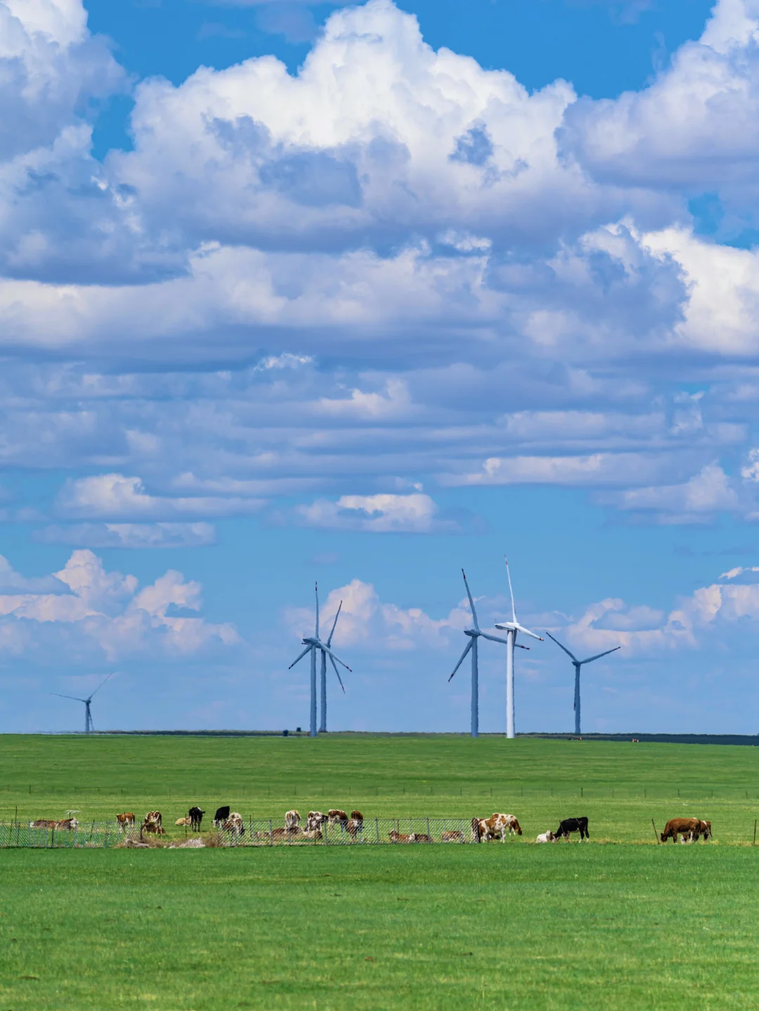 草原的尽头是海｜真不是英国，这里是内蒙古！
