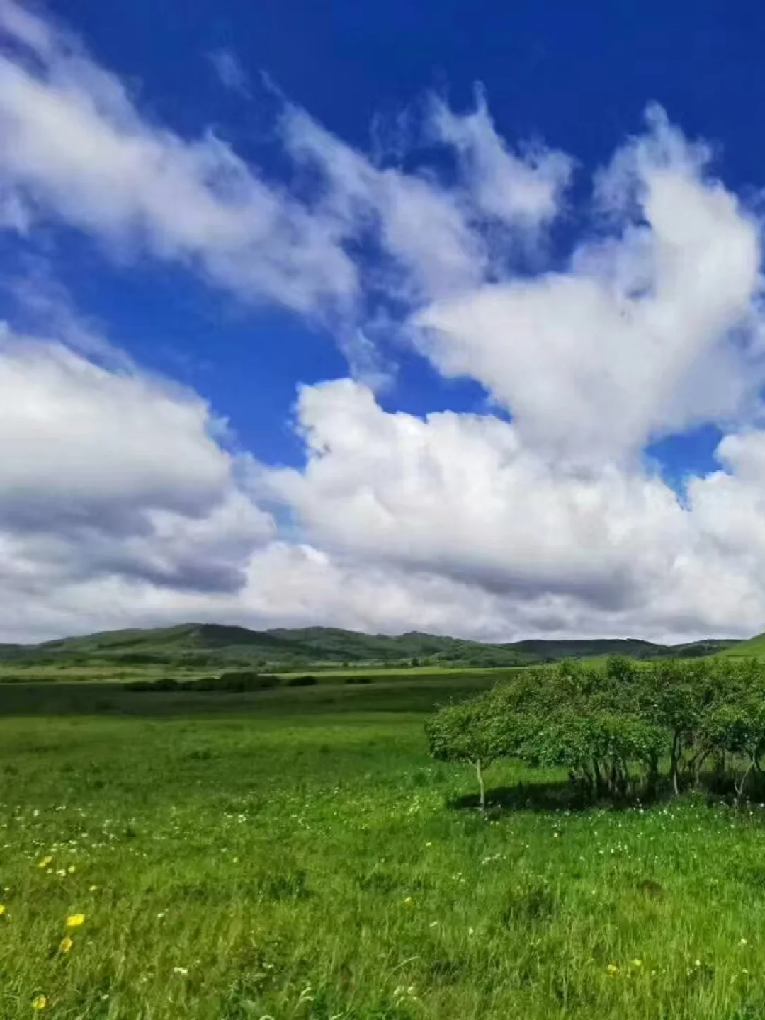 周末都给我去河北!😡2天1晚坝上草原!