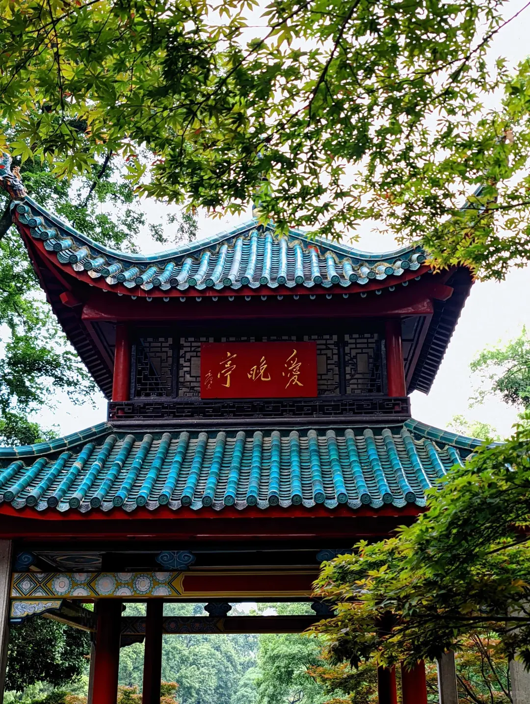 岳麓山下，长沙城里，尽显人间烟火气