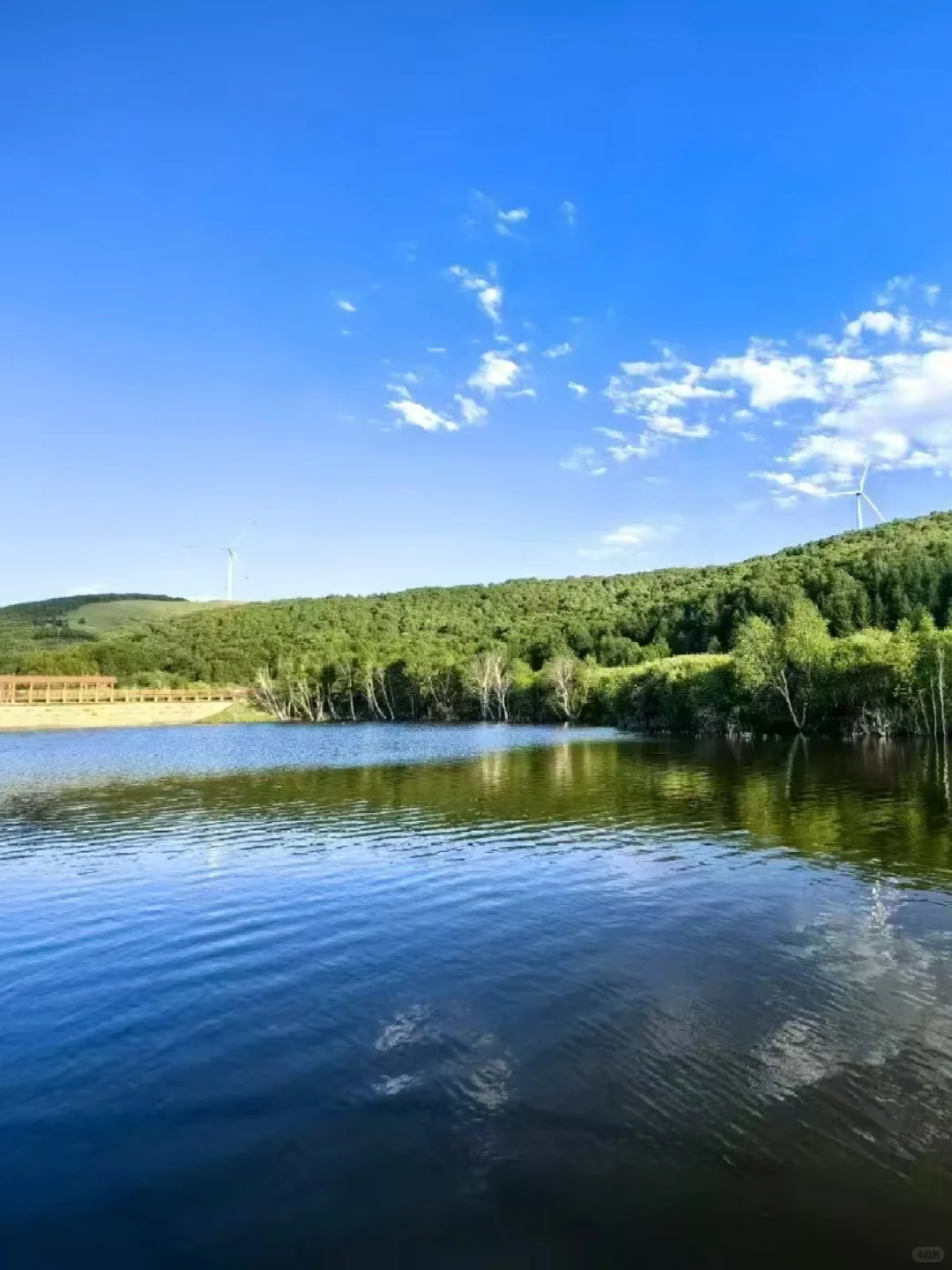 周末都给我去河北!😡2天1晚坝上草原!