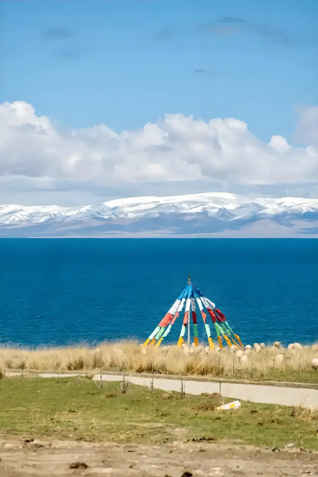 🌊 青海湖封神了！！美到窒息的神仙湖泊