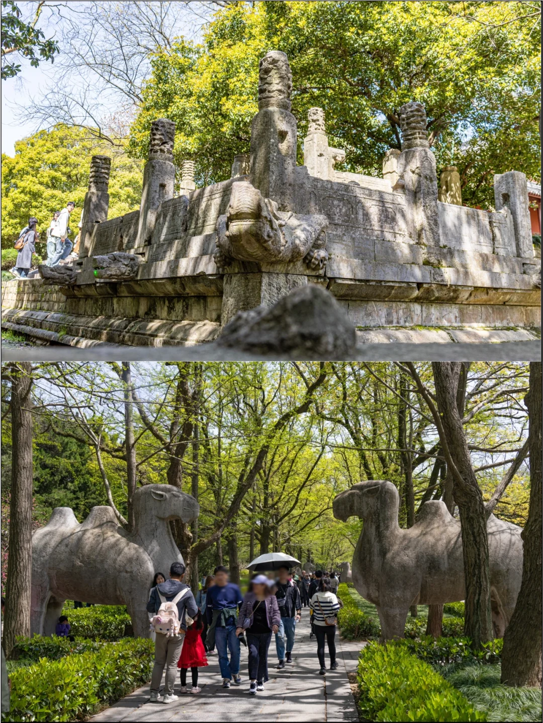 国内56个世界遗产景点||你去过几个?