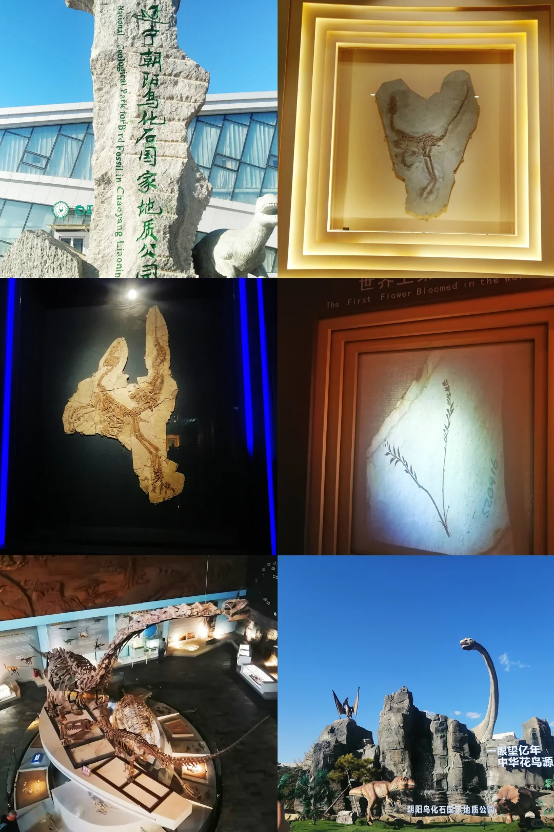 五一去哪玩？宝藏城市推荐——朝阳