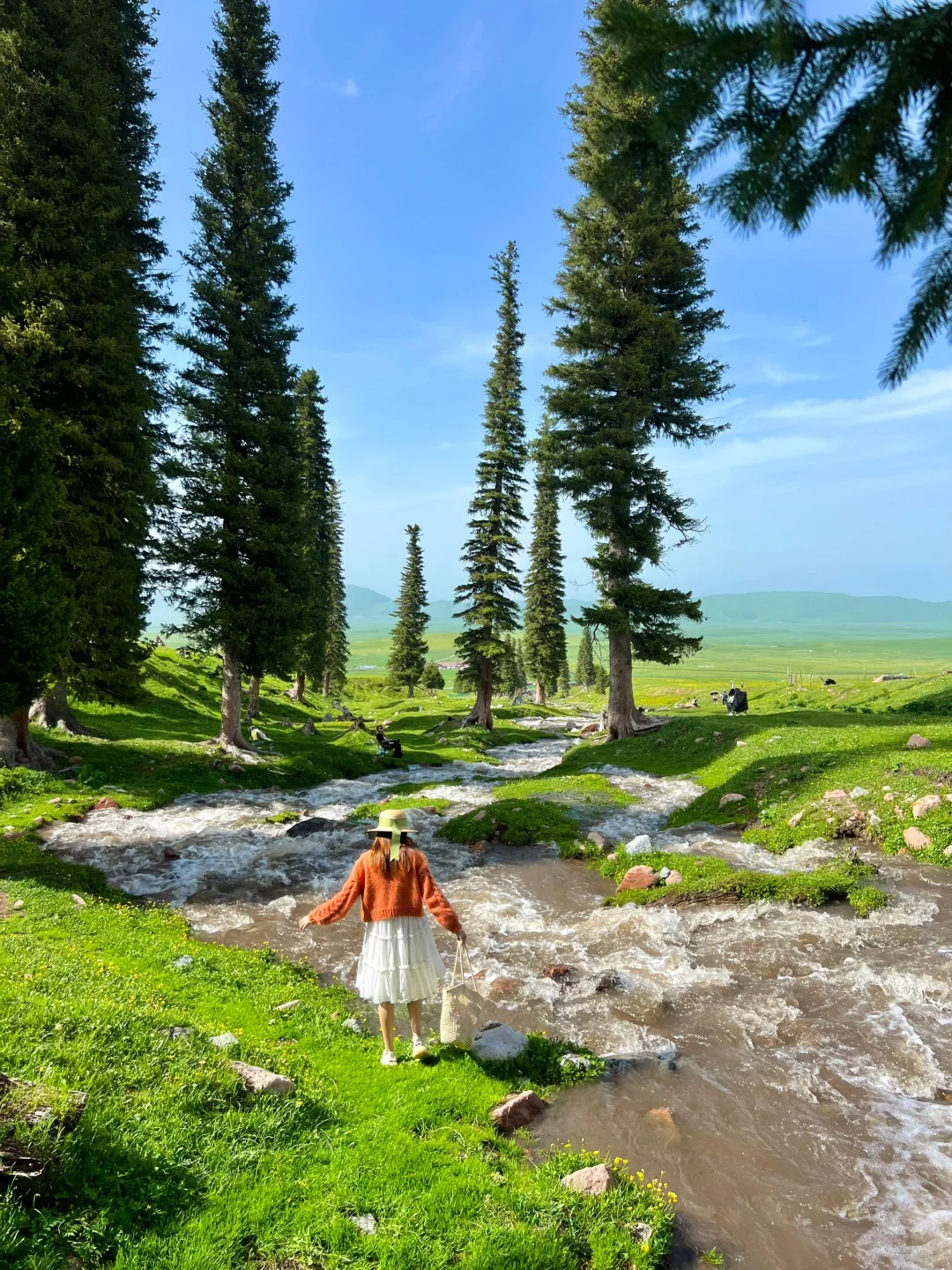 人生live🌲！这是我梦里的那片草原～