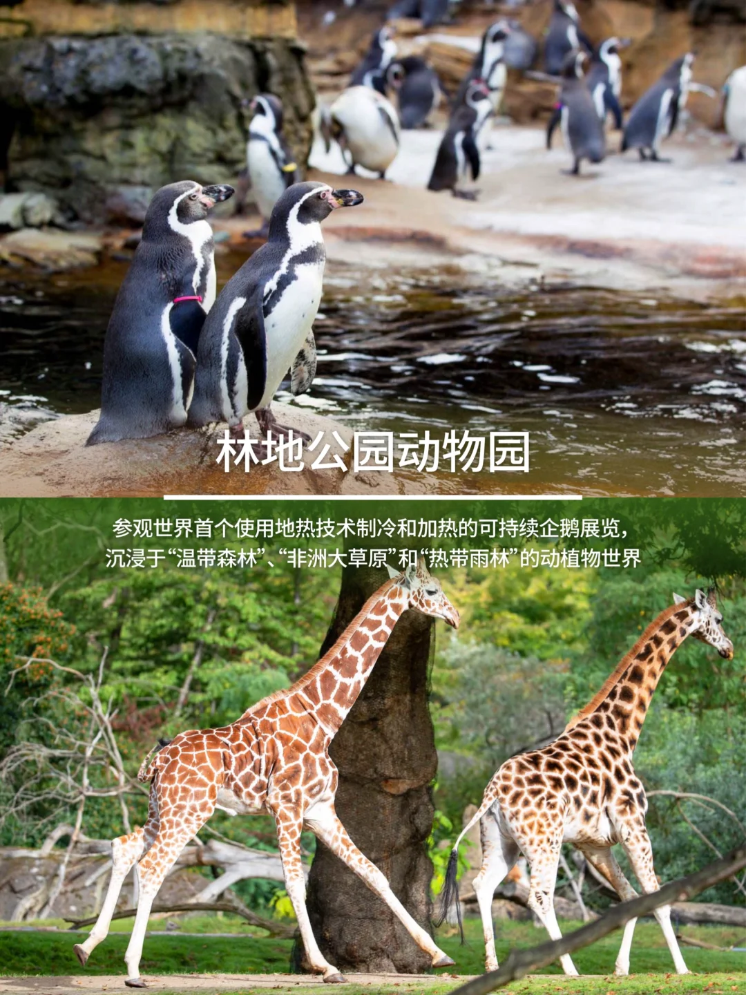 西雅图必玩合集CityPASS帮你省下大笔门票💰