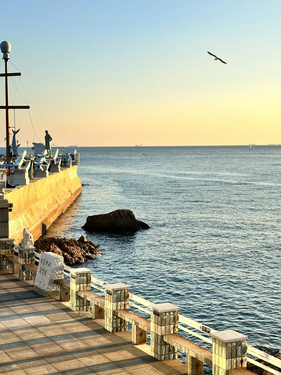 青岛一人行🏃🏼♀️➡️ 第三天 半日➡️返程