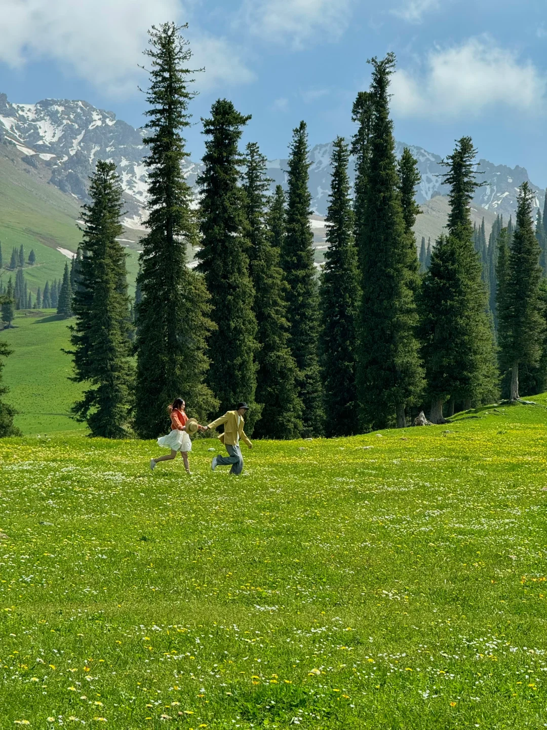 人生live🌲！这是我梦里的那片草原～