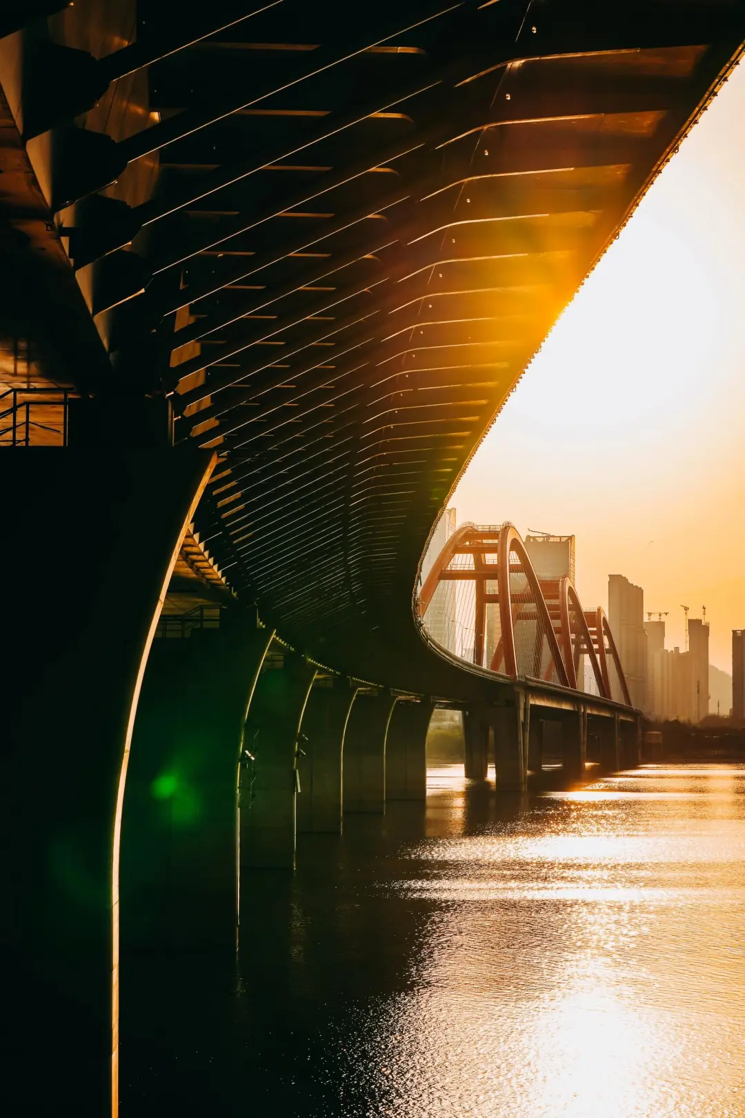 岳麓山下，长沙城里，尽显人间烟火气