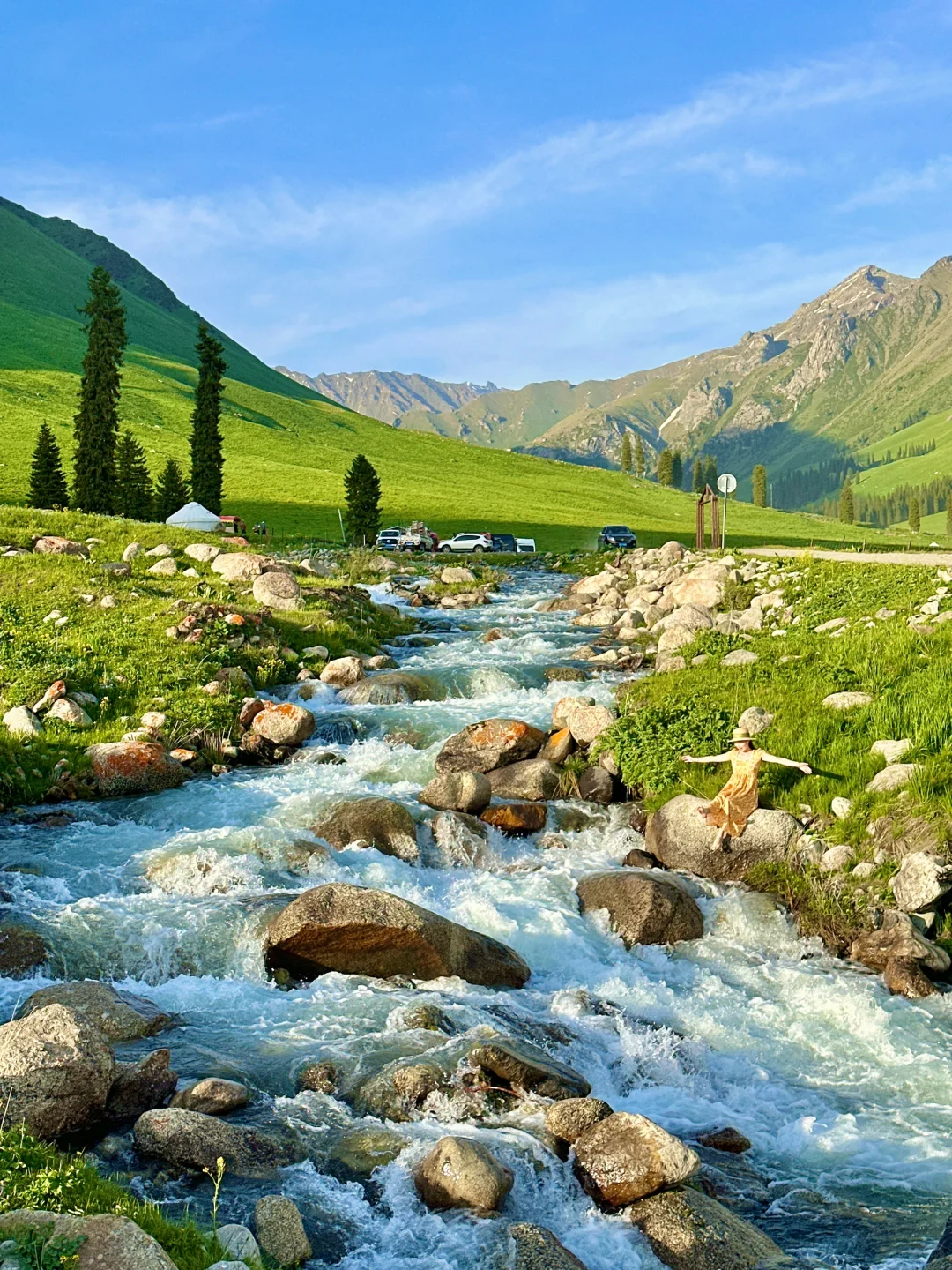 人生live🌲！这是我梦里的那片草原～