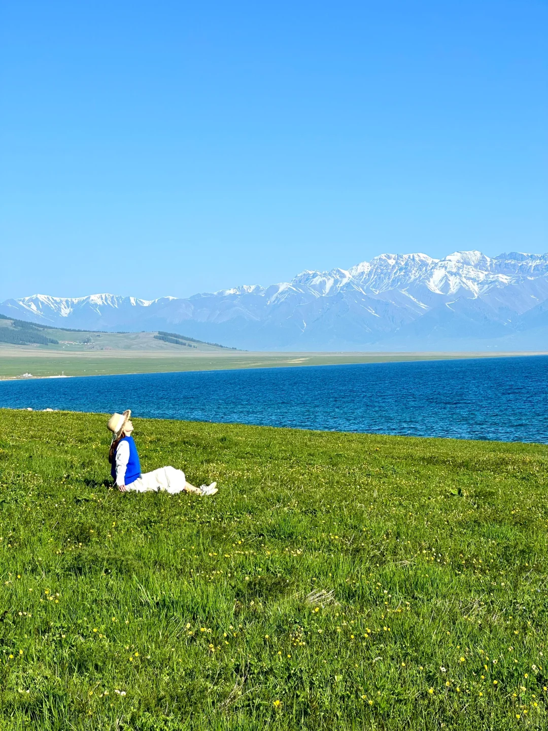 人生live🌲！这是我梦里的那片草原～