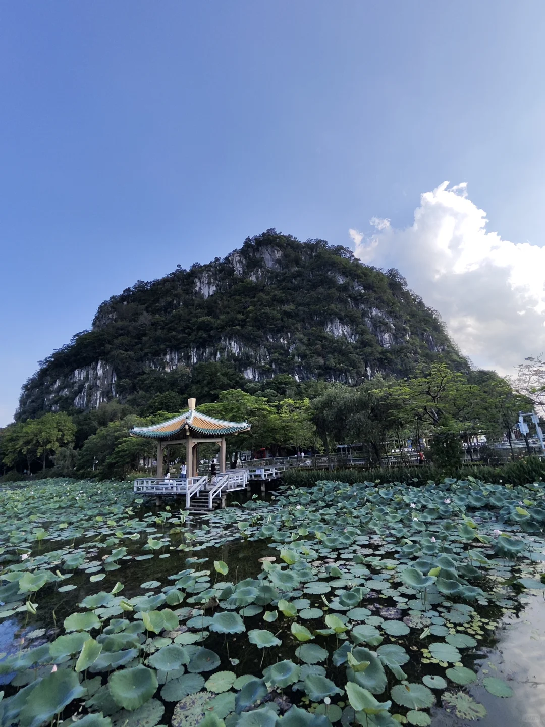 肇庆必玩!七星岩游玩攻略😋😋