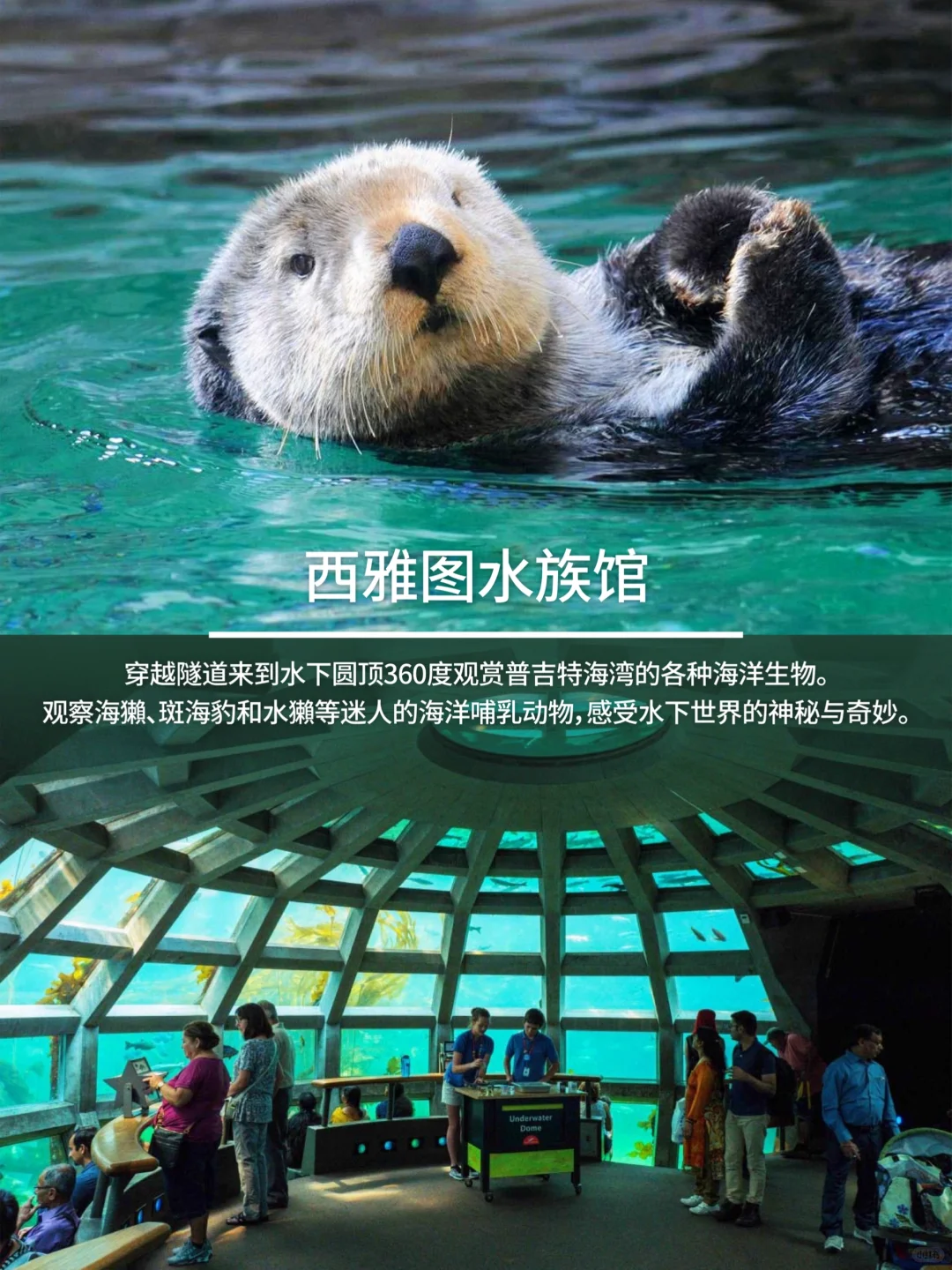 西雅图必玩合集CityPASS帮你省下大笔门票💰