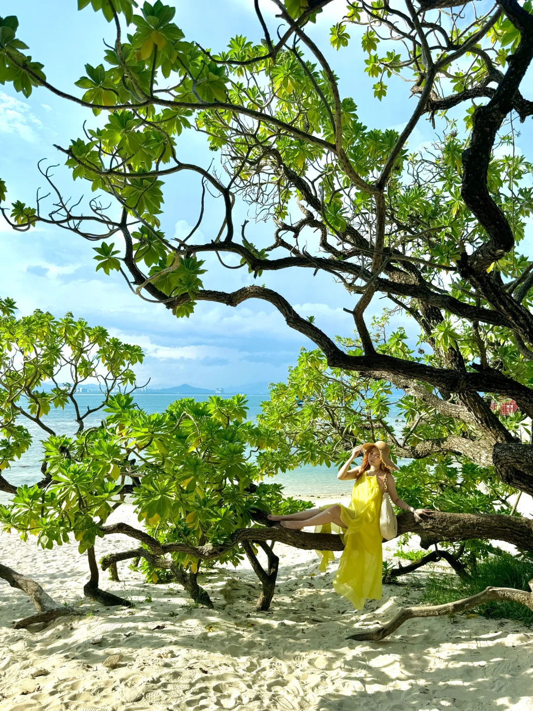 在三亚呆了7天，刚回来！听听我的真实建议...