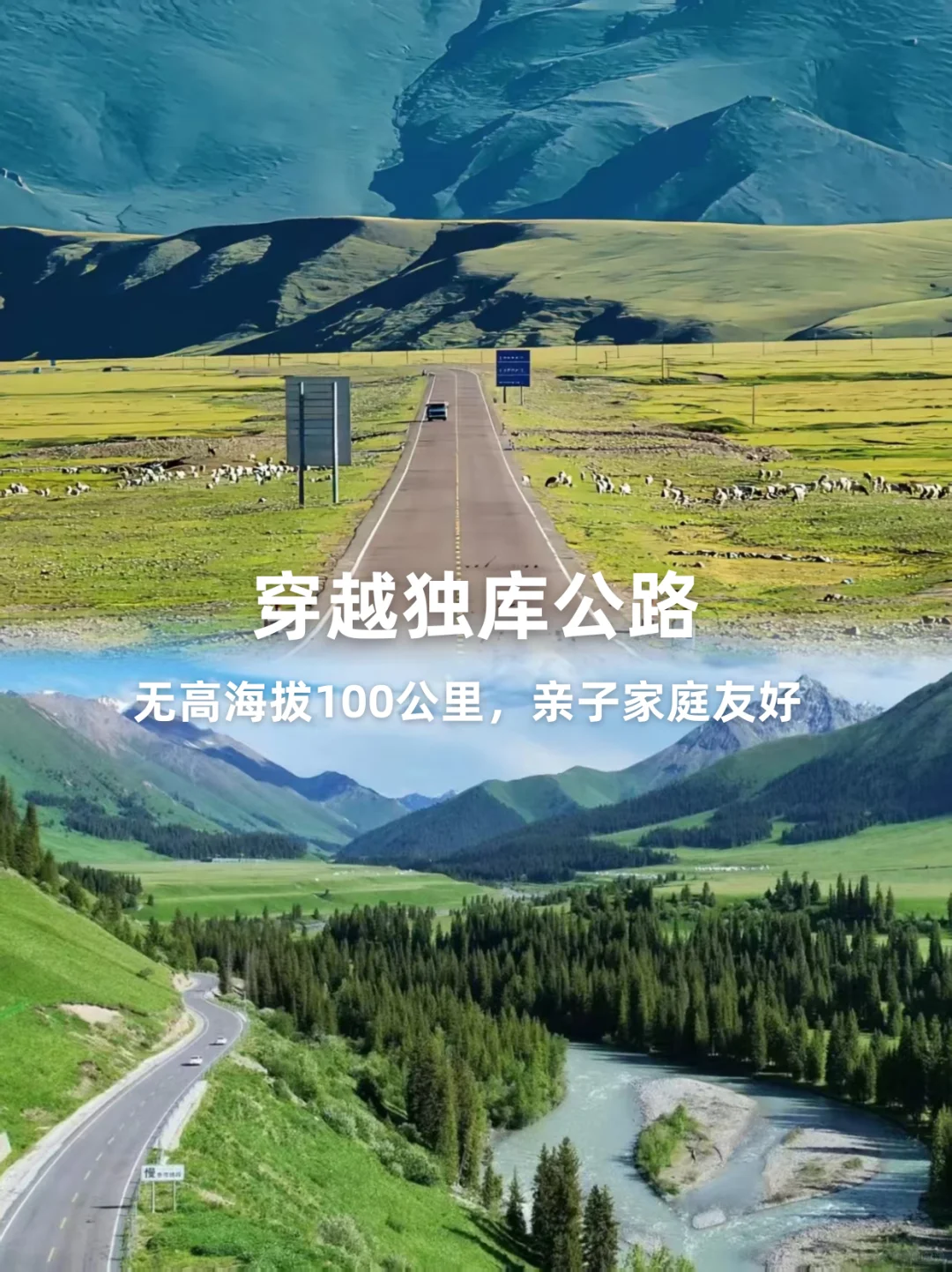 新疆躺平遛娃！属于全家的伊犁真度假时光