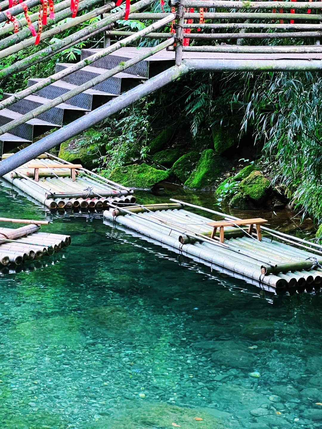 这儿真的太适合逃离了！森林氧吧🌳