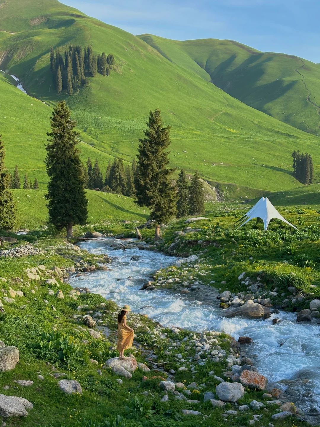 人生live🌲！这是我梦里的那片草原～