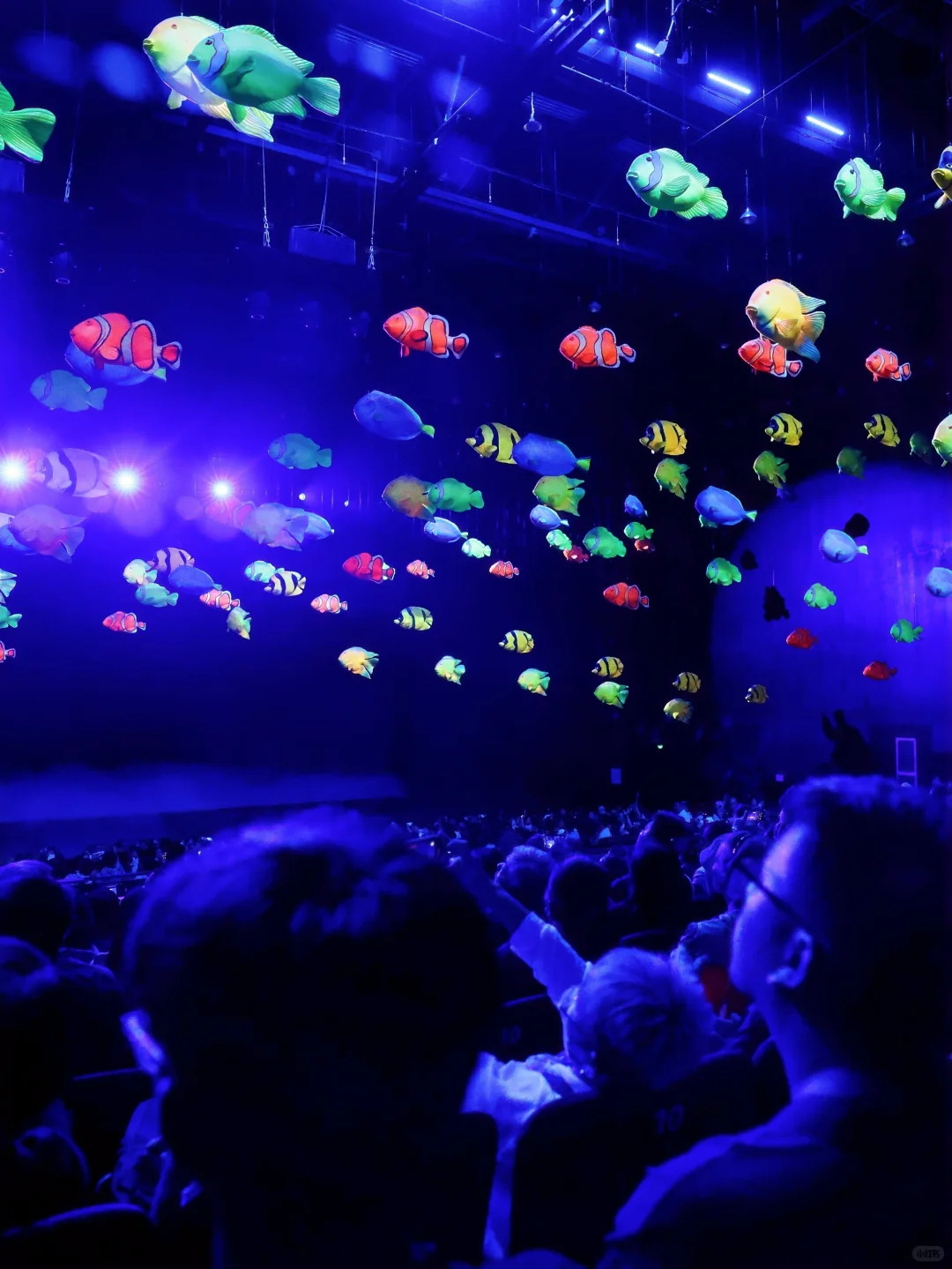 《三亚千古情保姆级必玩路线》