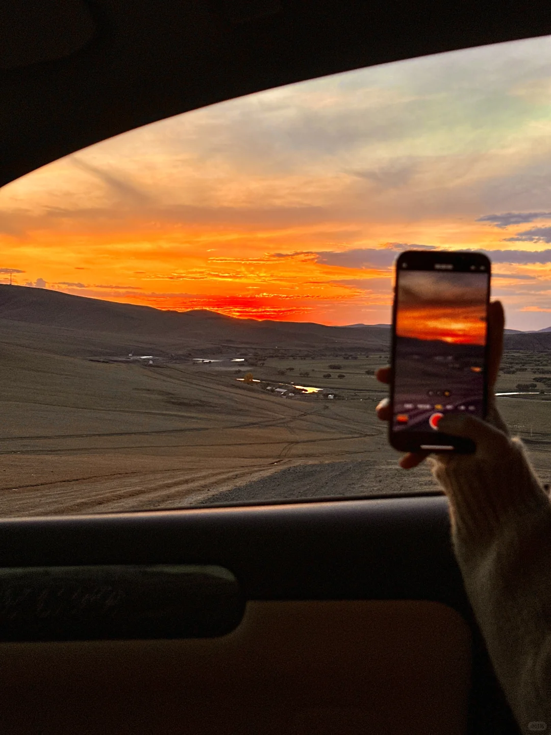人生live🌲！这是我梦里的那片草原～