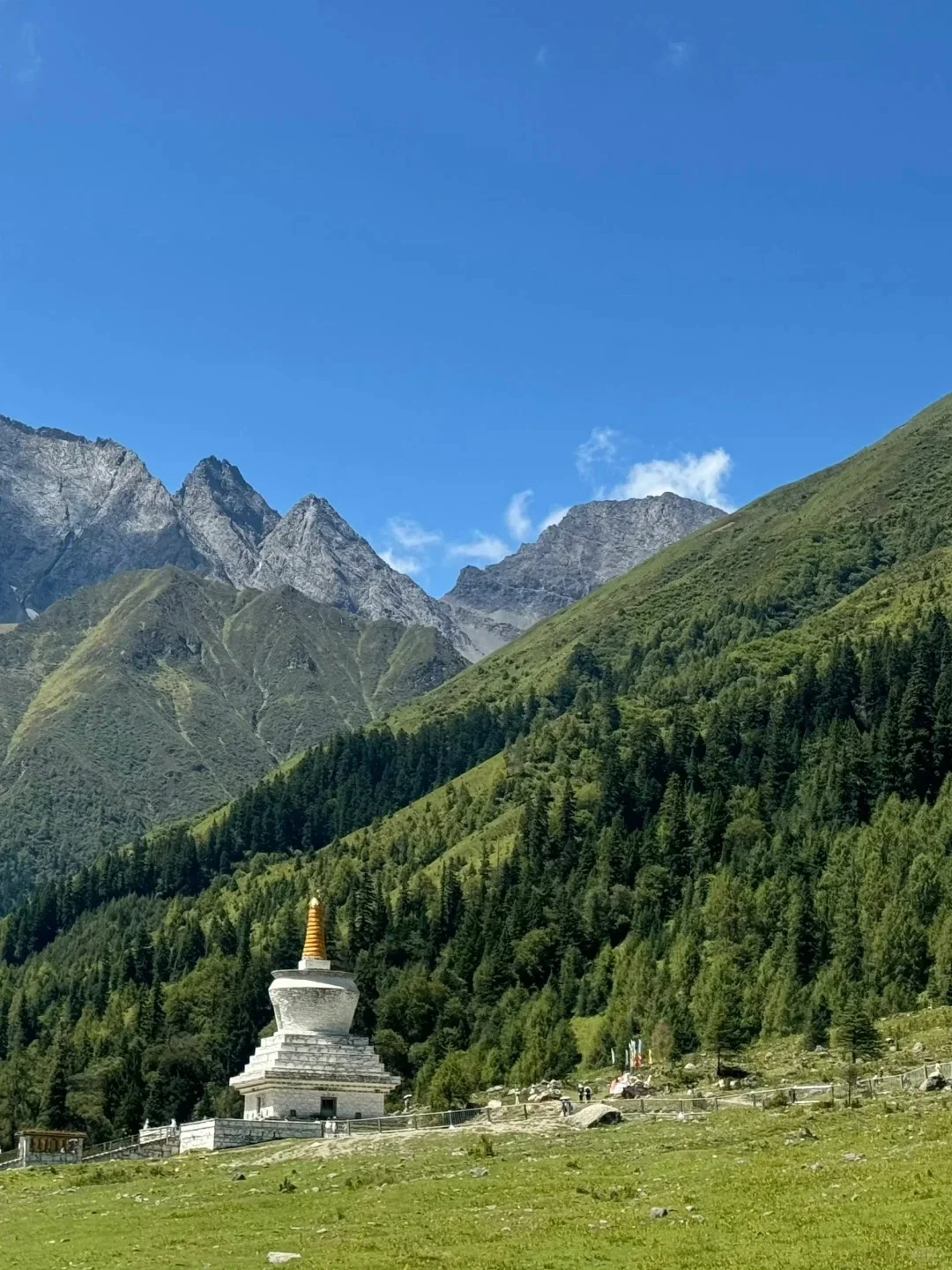 6~8月一定要带娃来这避暑💐比瑞士还震撼！！