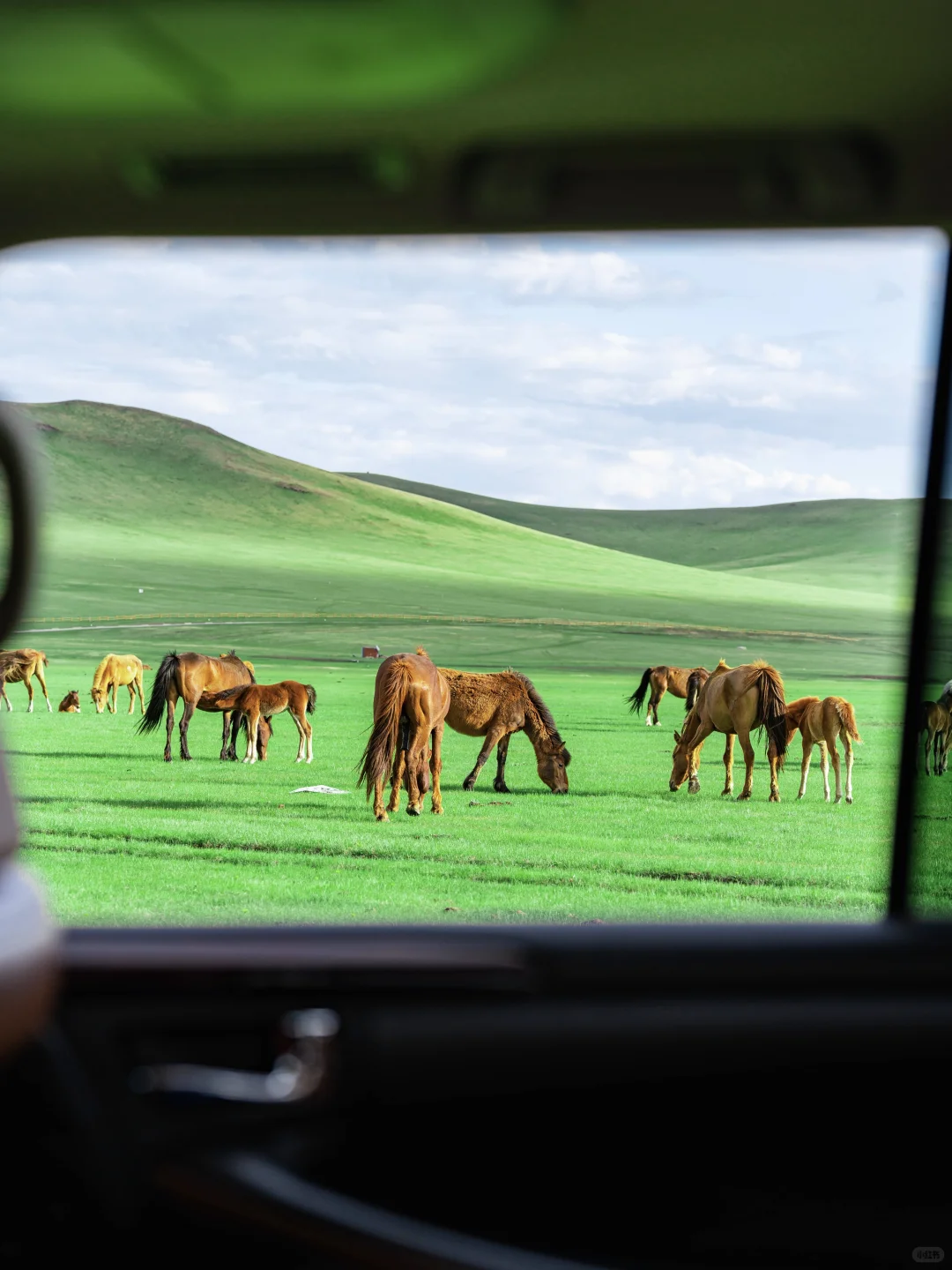草原的尽头是海｜真不是英国，这里是内蒙古！