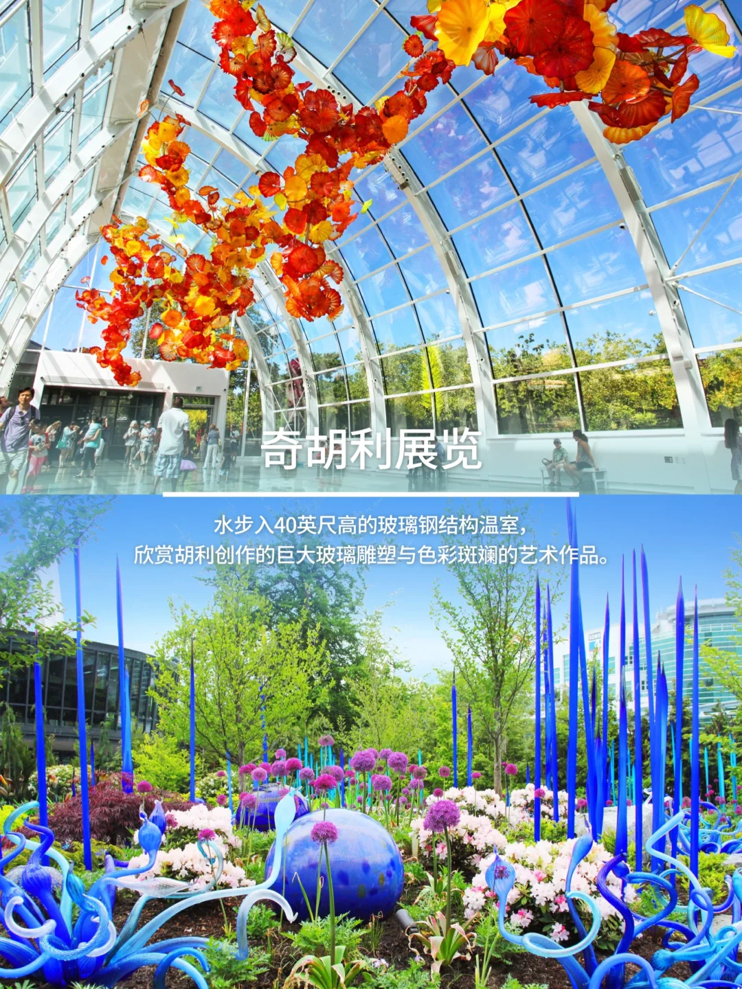 西雅图必玩合集CityPASS帮你省下大笔门票💰