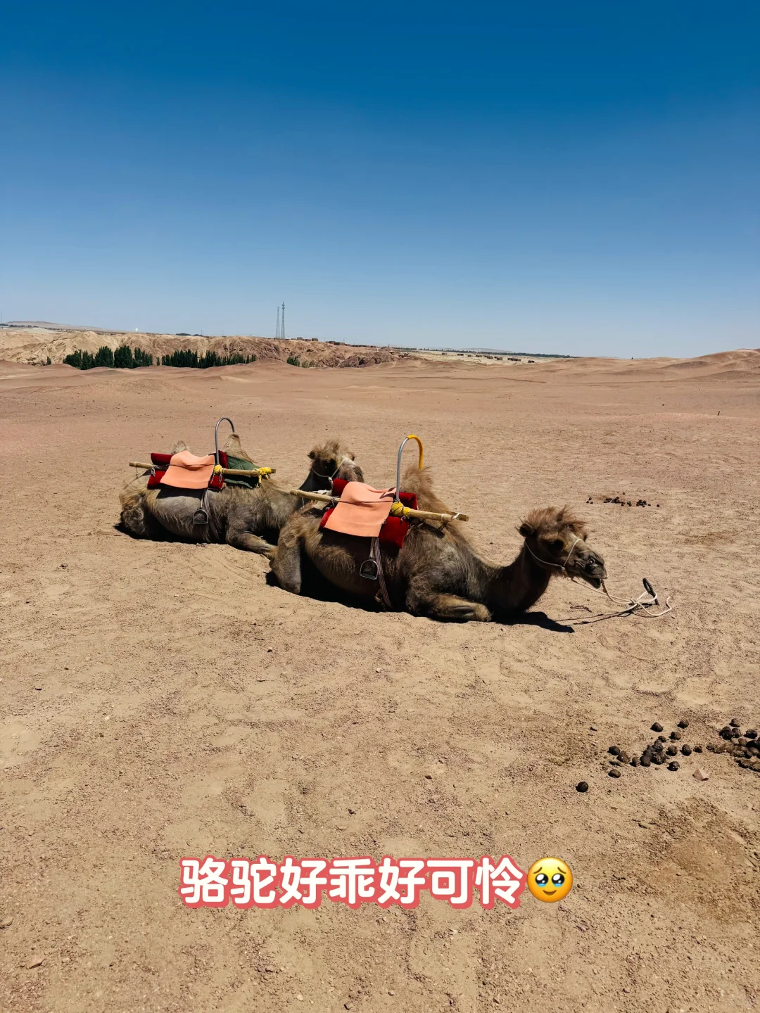 选择【阳关】深度游，请讲解根本不会无聊！