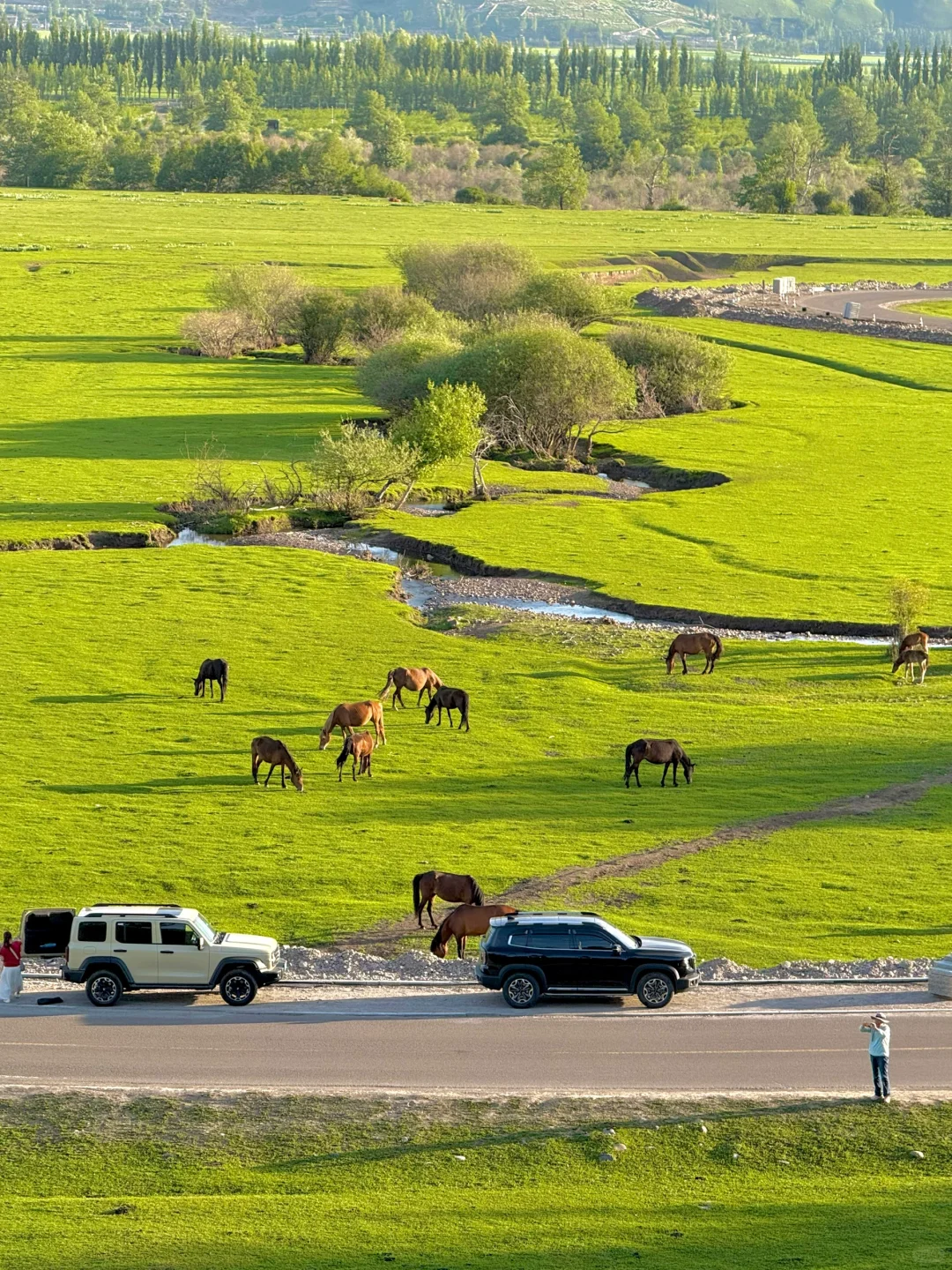 听劝!晚上8点之后再进那拉提景区..