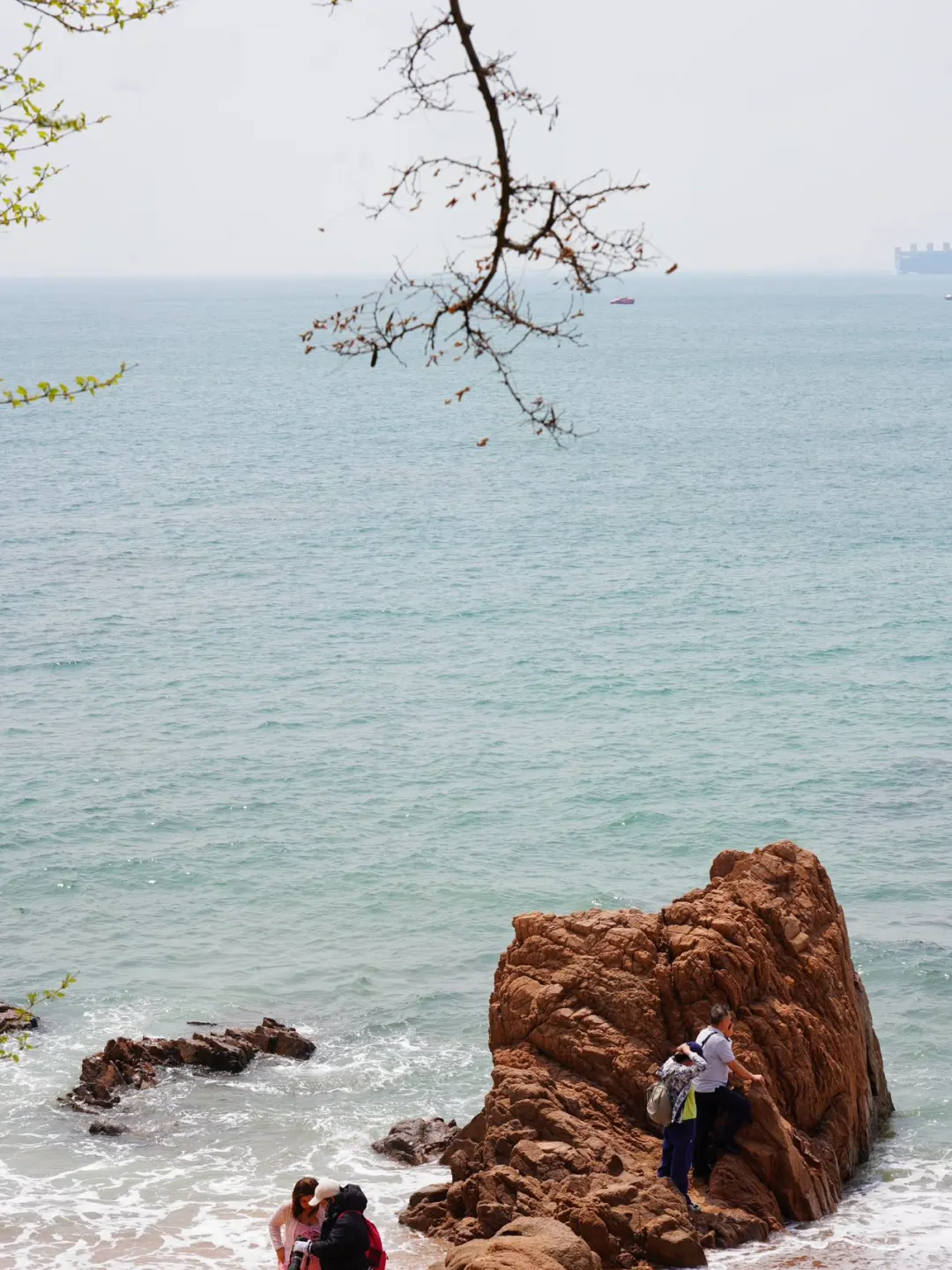 带父母青岛周末游｜海鲜美食+小众景点全攻略