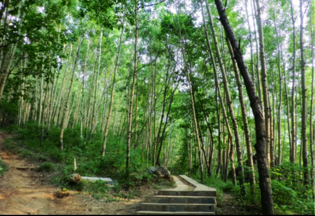 沉浸感受保定野三坡五大景区及五大漂流乐园