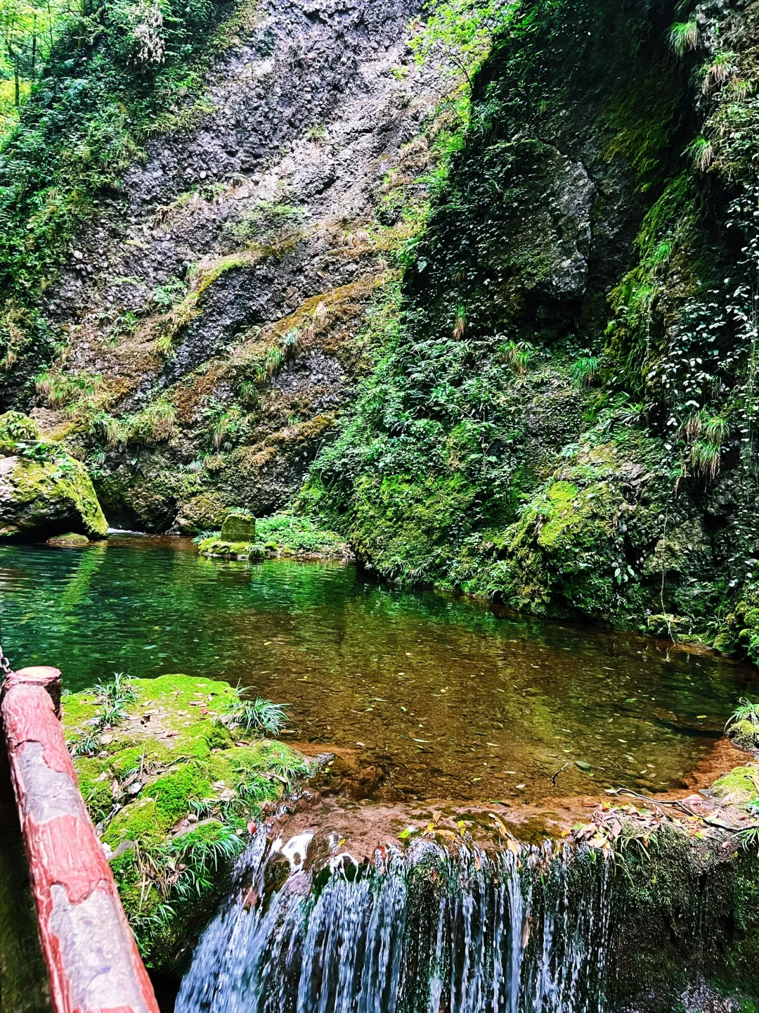 这儿真的太适合逃离了！森林氧吧🌳
