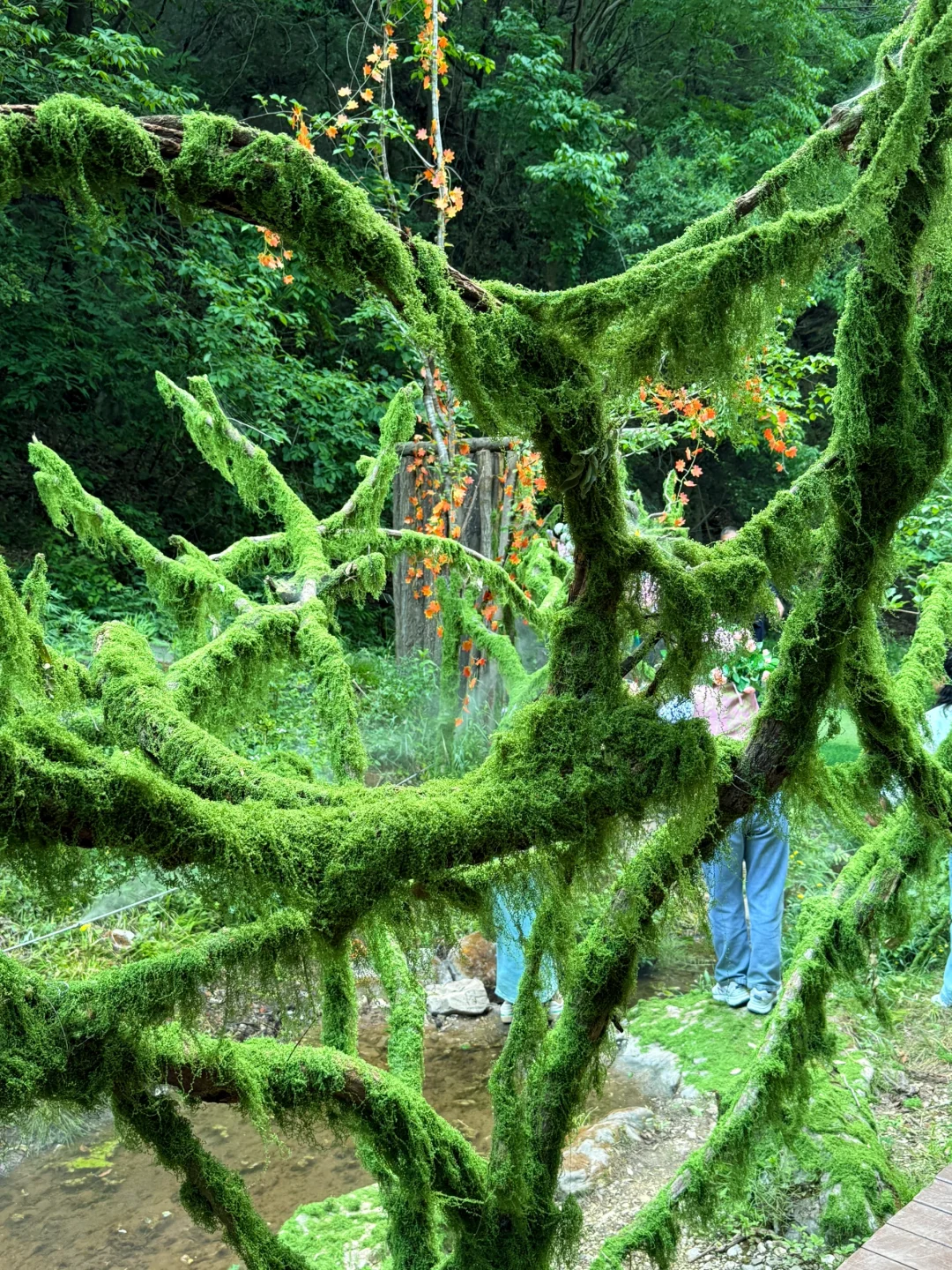 洛阳小众绝美玩水景点!不要再去人挤人啦!