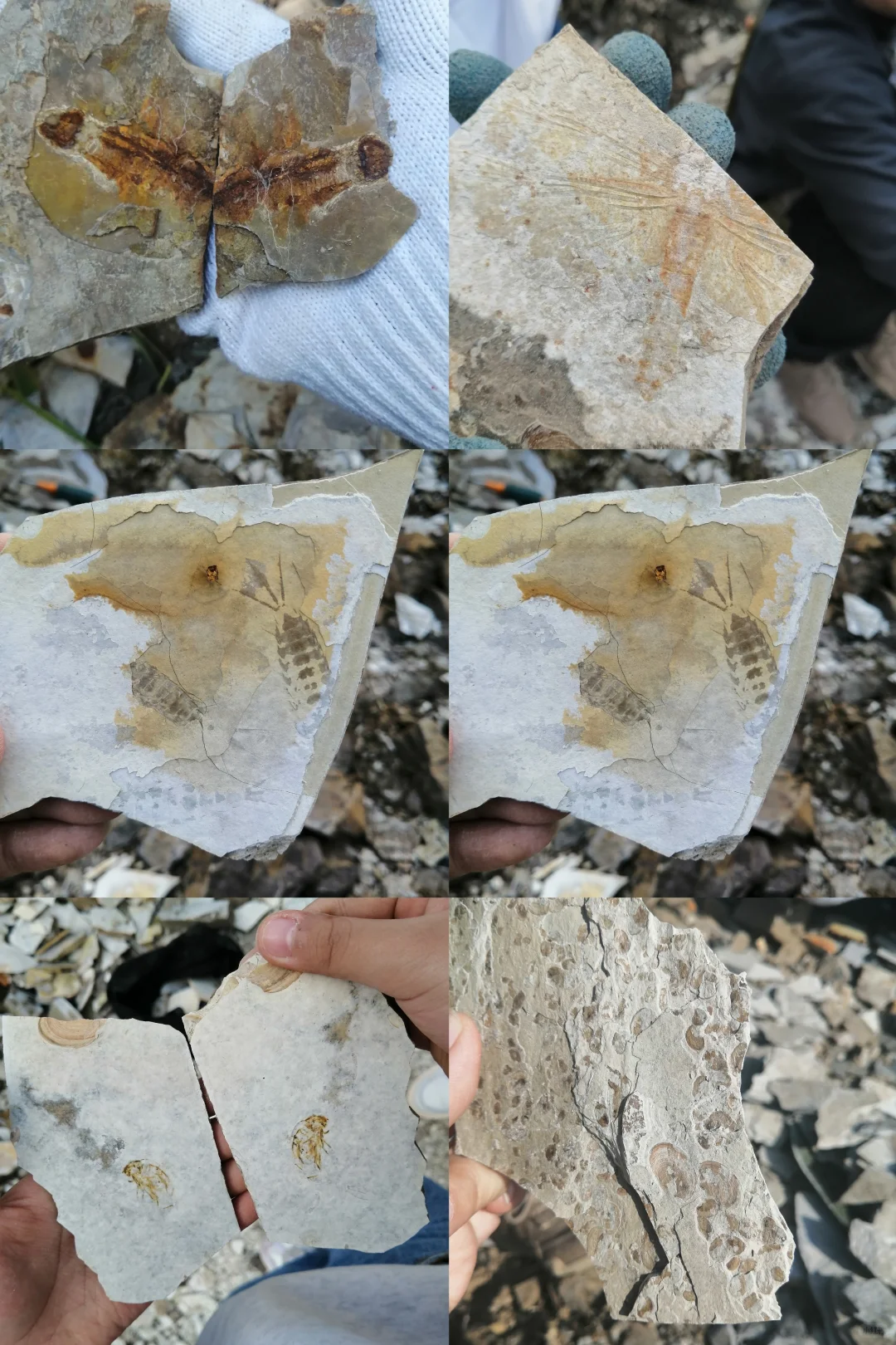 五一去哪玩？宝藏城市推荐——朝阳