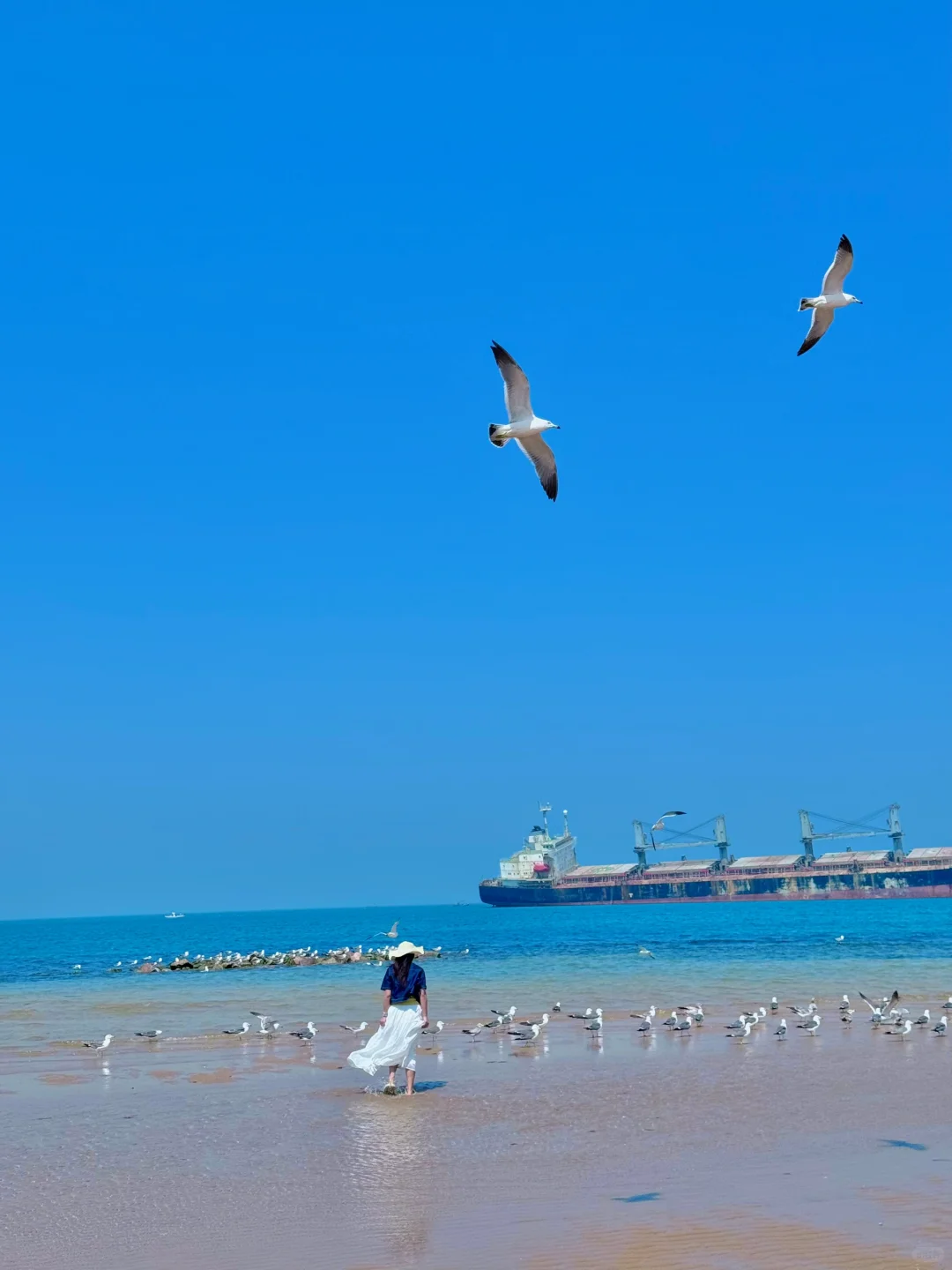 6月旅行✈️，威海真的太治愈了🌊3天2晚攻略