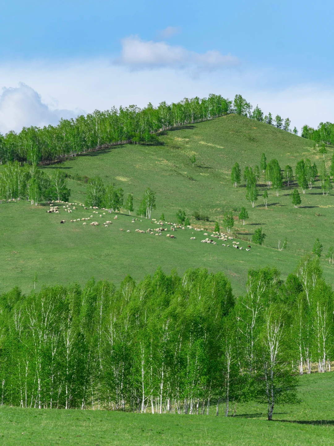 草原的尽头是海｜真不是英国，这里是内蒙古！