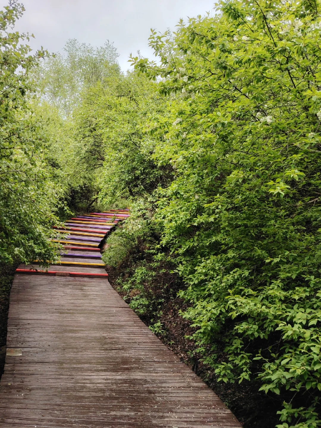 周末都给我去河北!😡2天1晚坝上草原!